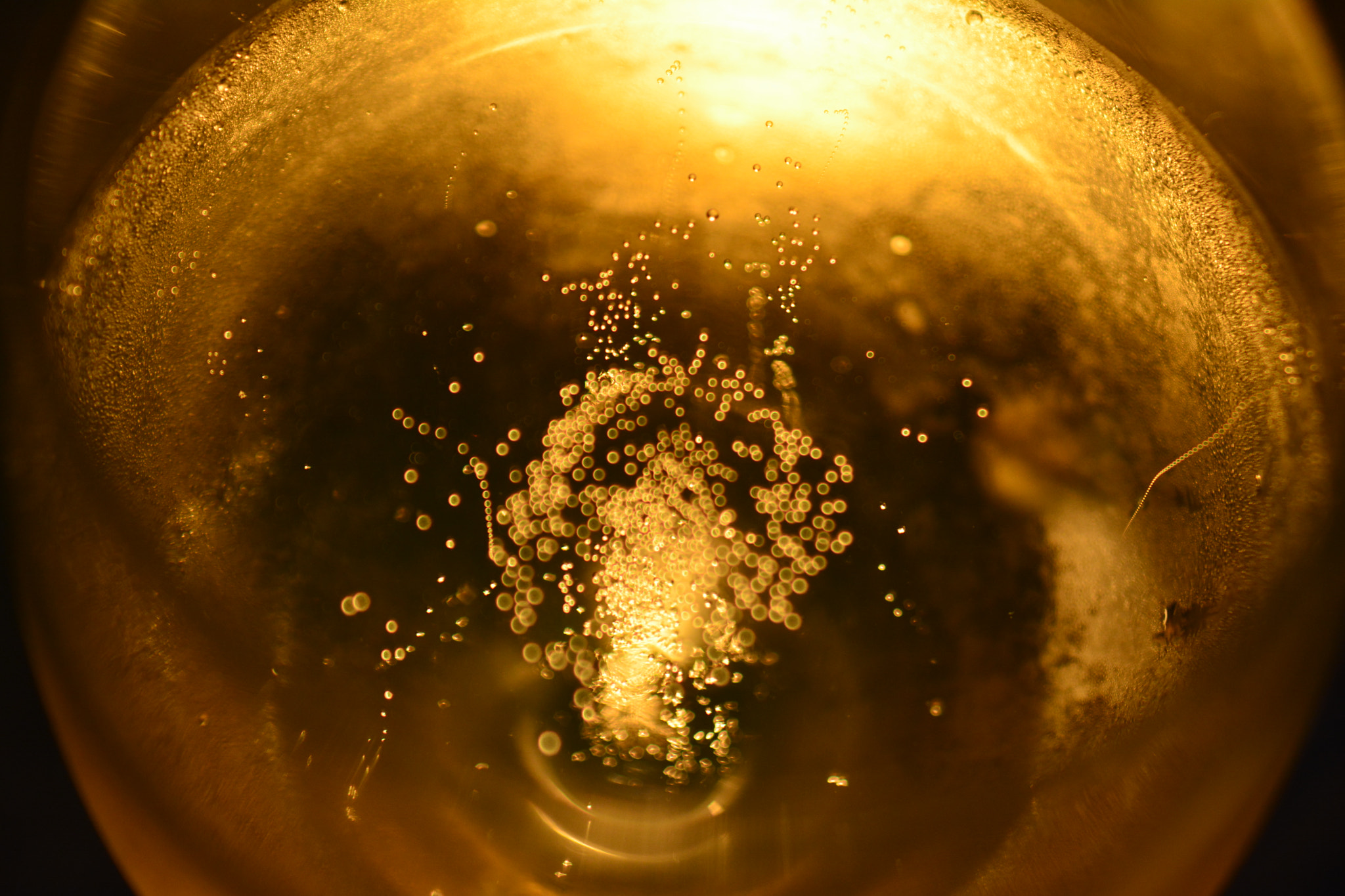 AF Zoom-Nikkor 35-135mm f/3.5-4.5 N sample photo. Bubbles photography