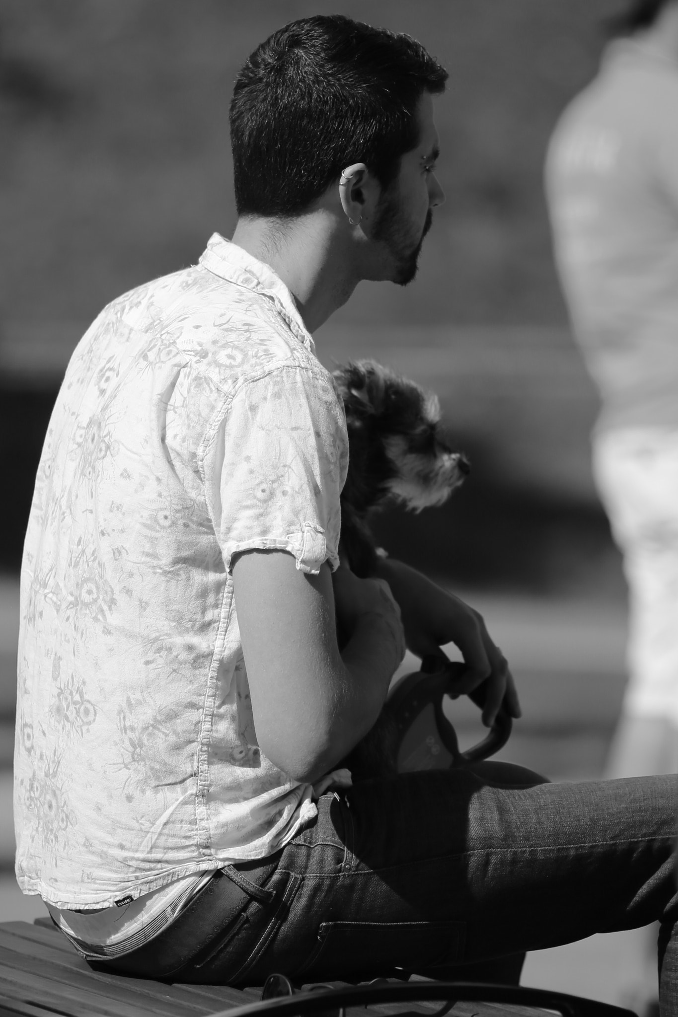 Canon EOS 6D + Canon EF 200mm f/2.8L sample photo. Whiskers photography