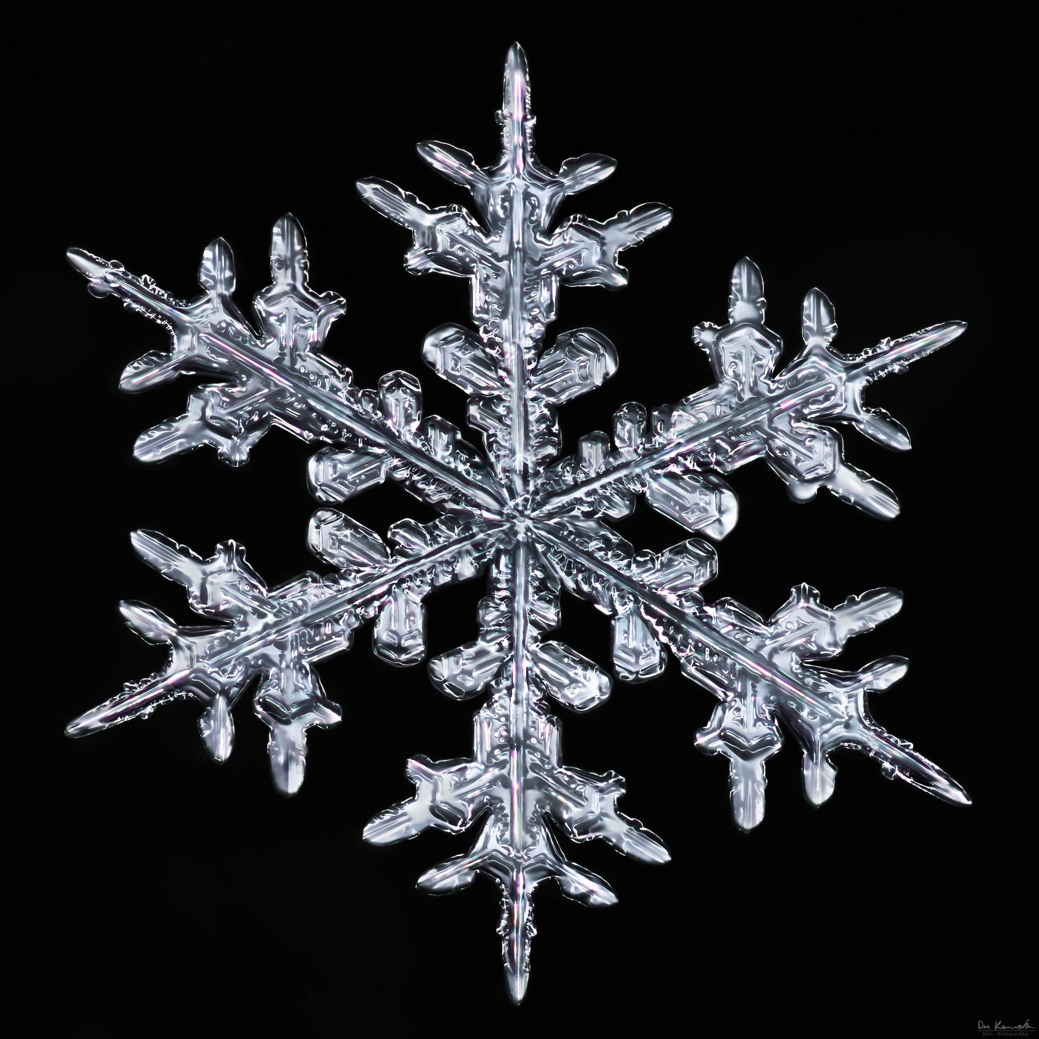 Canon MP-E 65mm F2.5 1-5x Macro Photo sample photo. Snowflake-a-day #83 photography