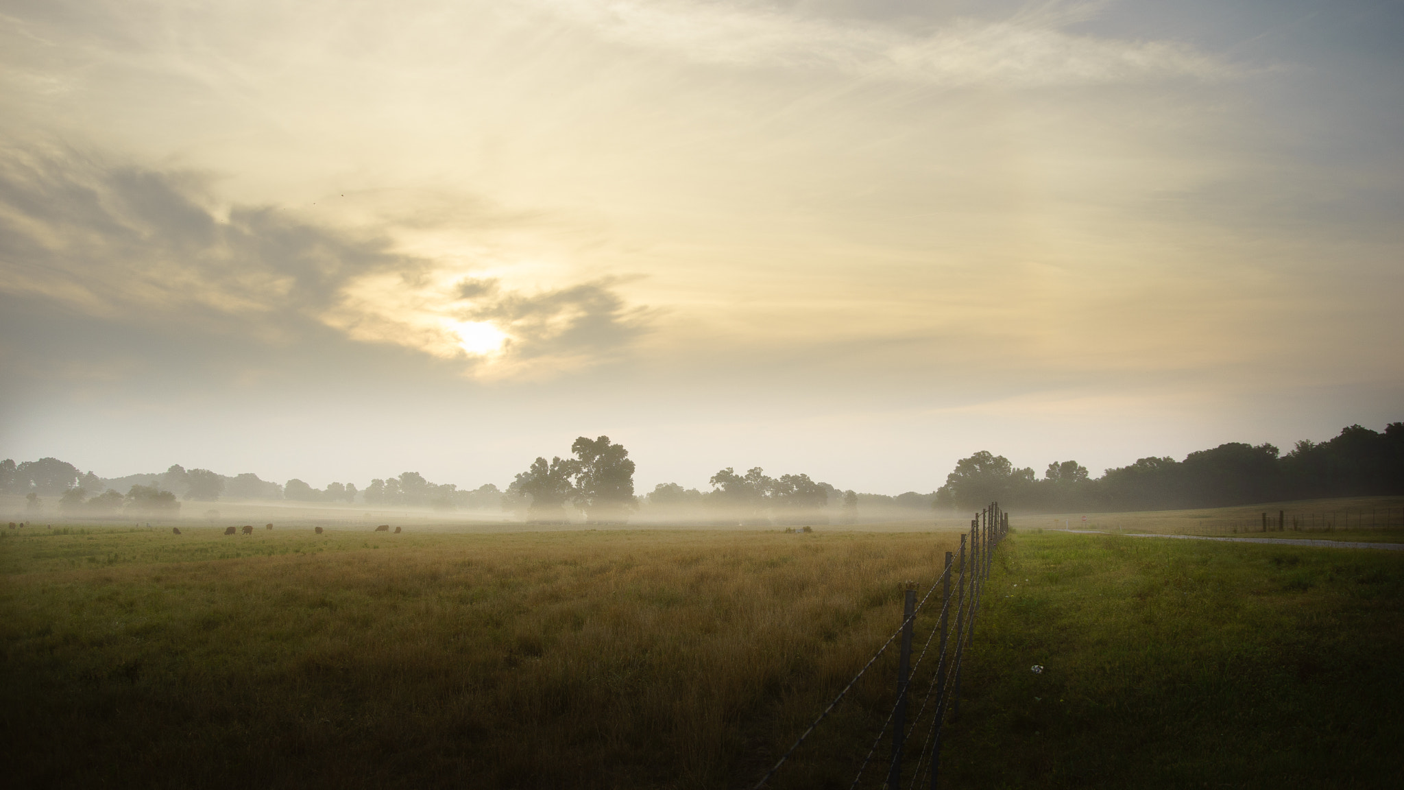 Minolta AF 35-105mm F3.5-4.5 sample photo. Morning pasture photography