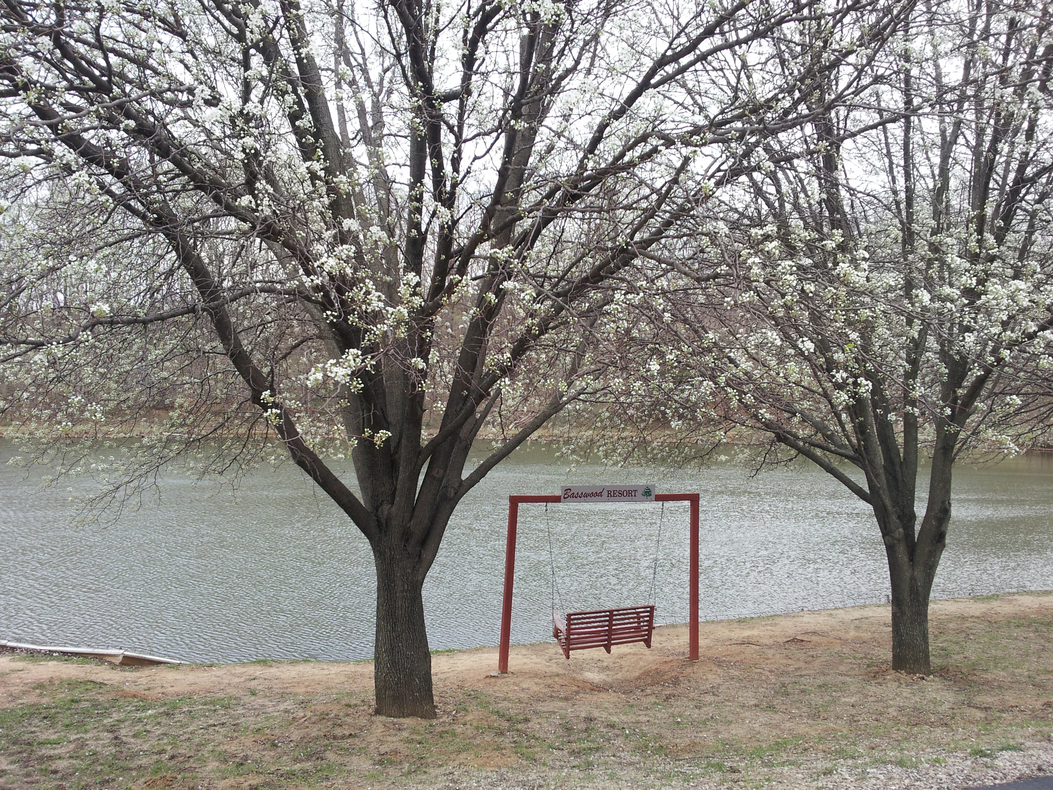 Samsung Galaxy S2 Epic sample photo