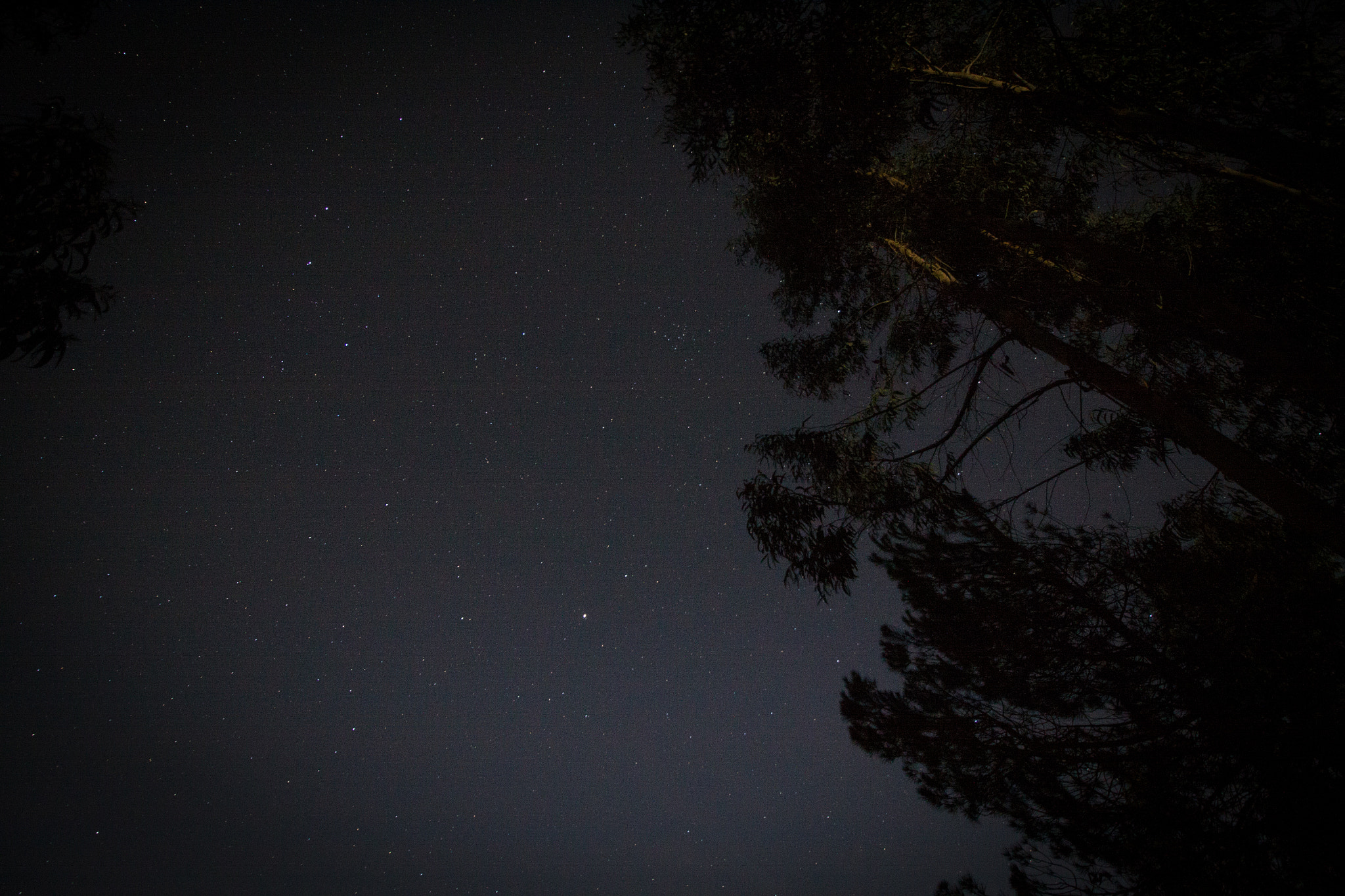 Canon EOS 50D + Canon EF-S 10-18mm F4.5–5.6 IS STM sample photo. A night looking at the stars photography