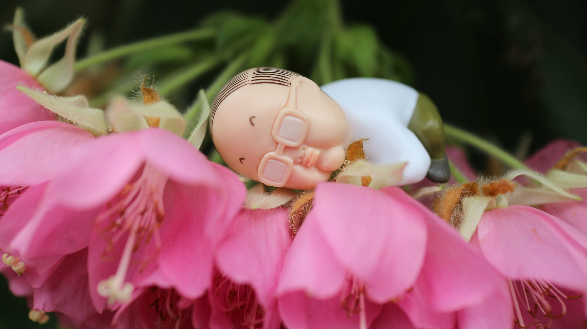 Canon EOS M10 + Canon EF-M 22mm F2 STM sample photo. Sleeping on flowers photography