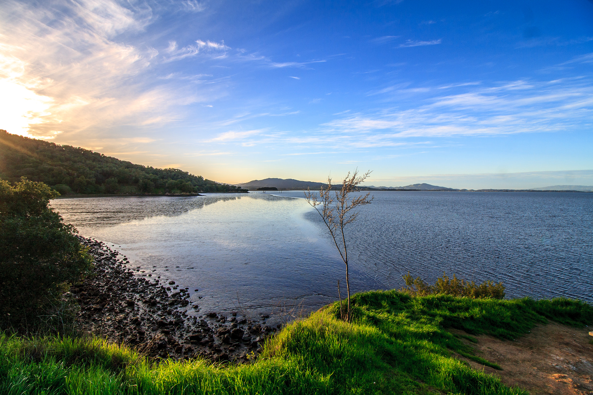 Canon EF-S 10-18mm F4.5–5.6 IS STM sample photo. The lonely tree - china camp photography