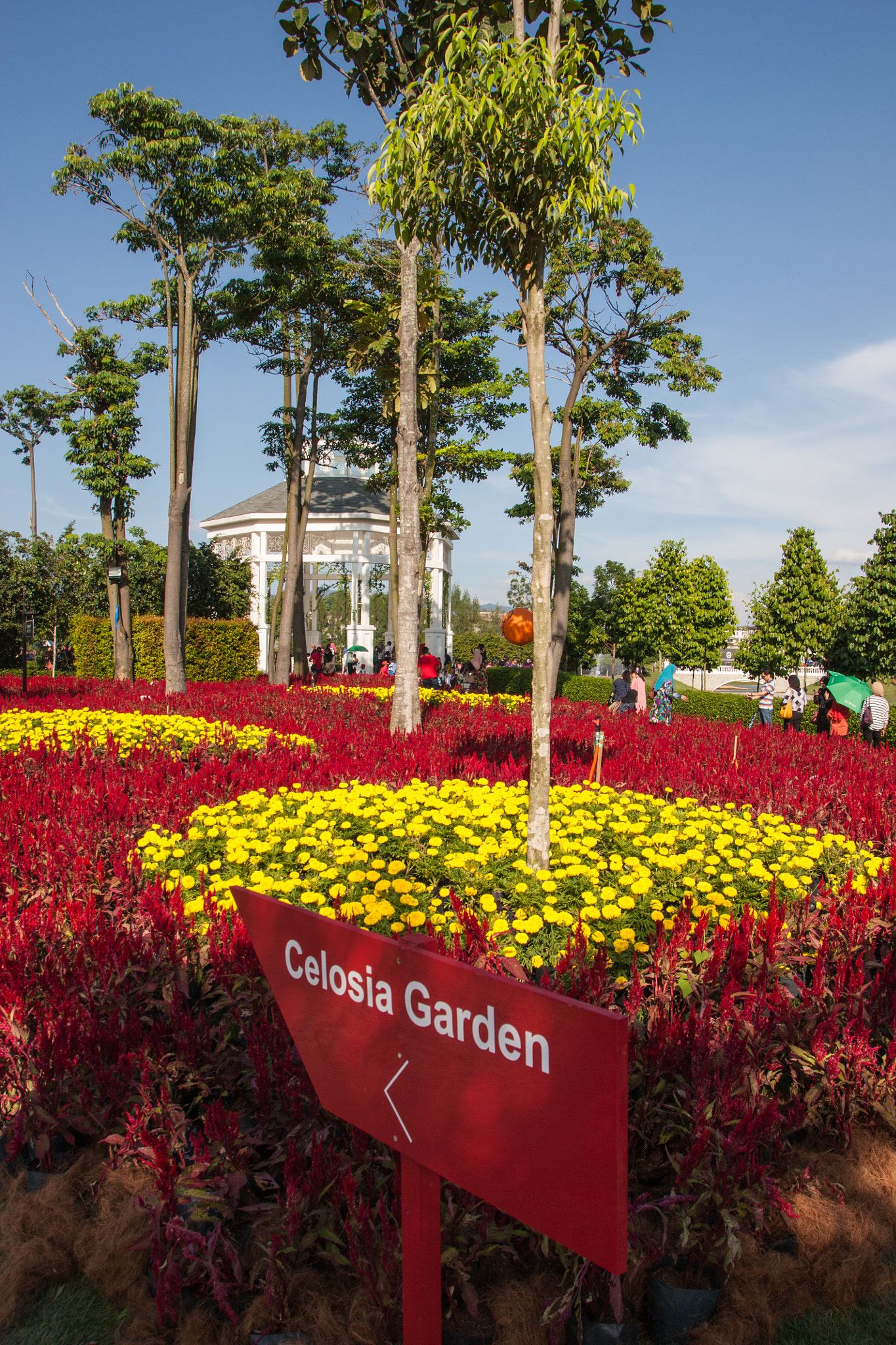 Sigma 18-250mm F3.5-6.3 DC OS HSM sample photo. Flora show photography