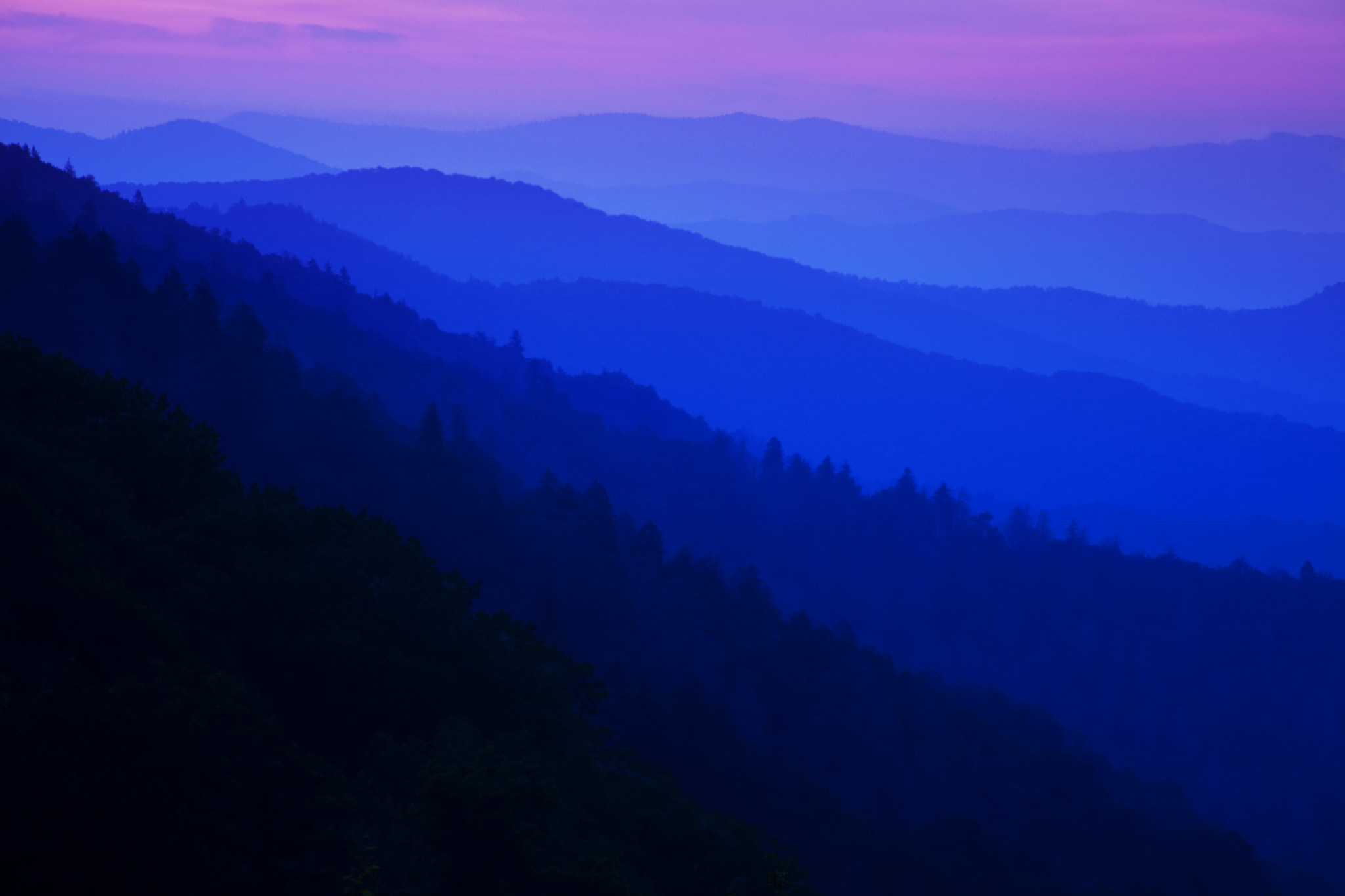 Canon EF 100-300mm F4.5-5.6 USM sample photo. Morning light photography