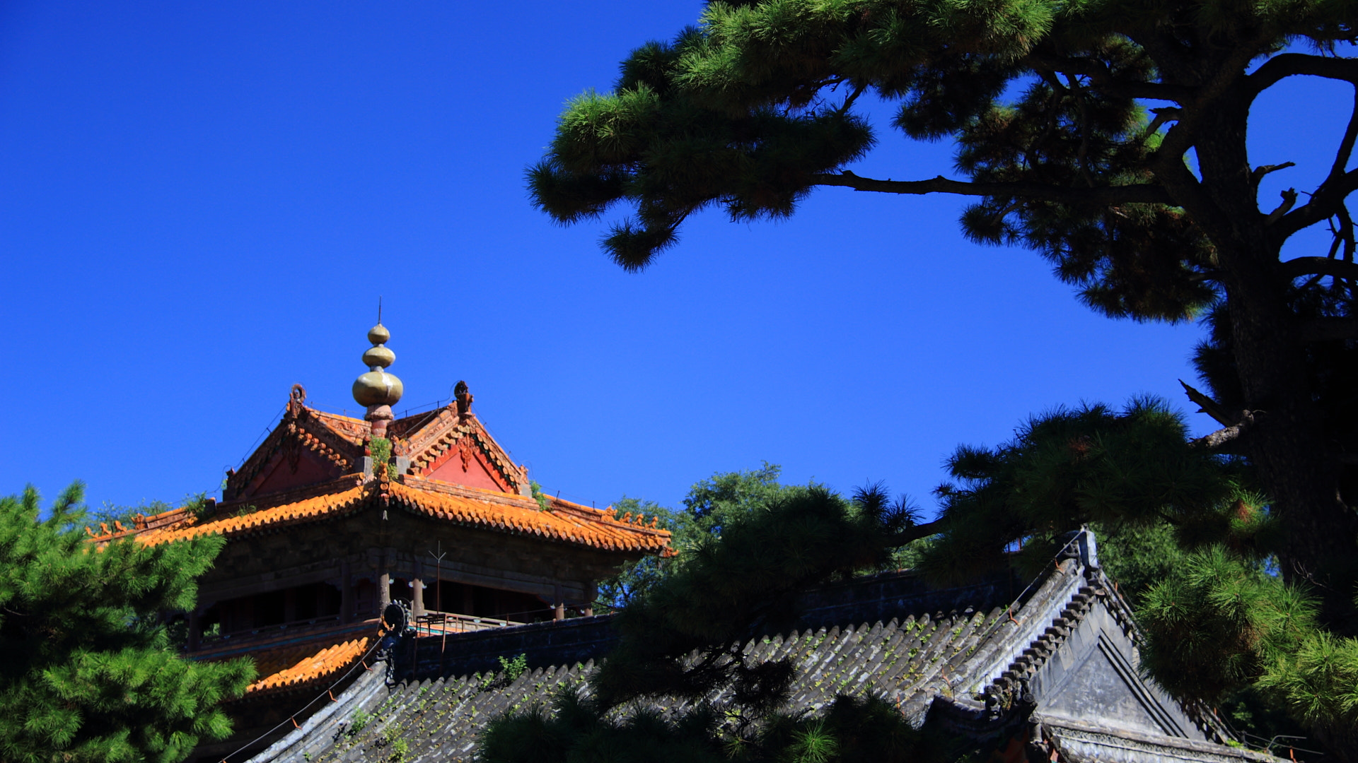 Canon EF-S 18-200mm F3.5-5.6 IS sample photo. 园林 photography