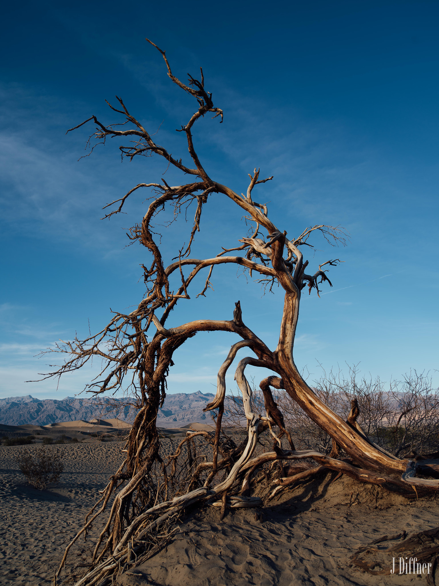 HD Pentax-D FA645 35mm F3.5 AL [IF] sample photo. Death valley_5567.jpg photography