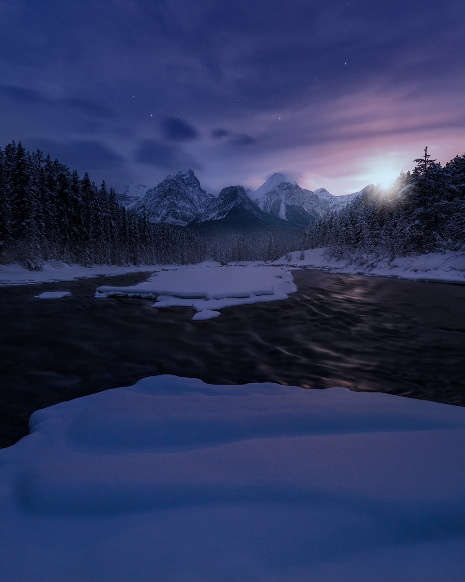 Sony a7R II + Canon EF 17-40mm F4L USM sample photo. Shining through photography