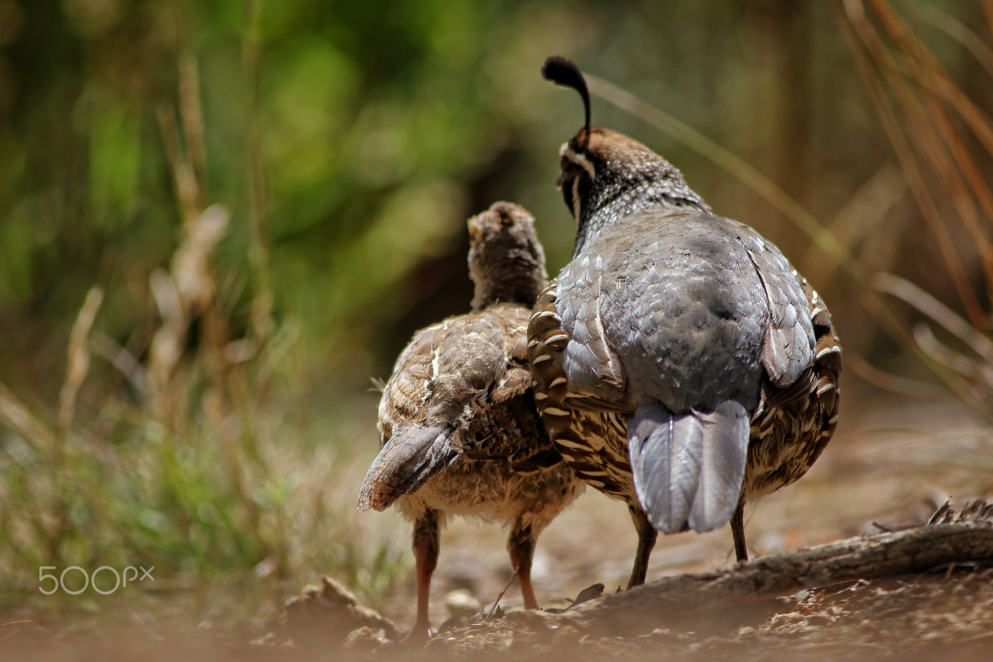 There's a whole new world out there!