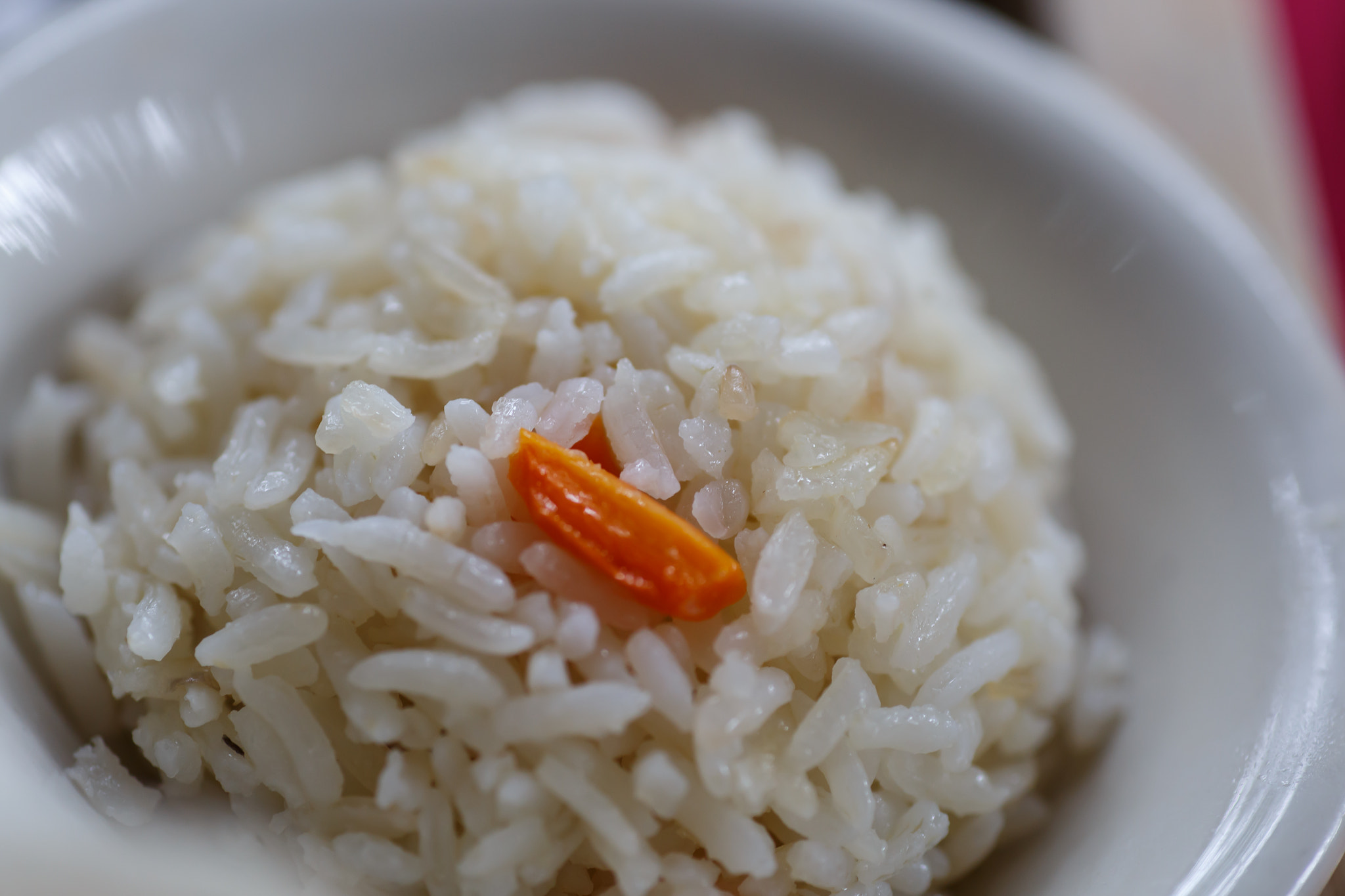 Tamron SP AF 90mm F2.8 Di Macro sample photo. Rice served on bowl, detail photography photography