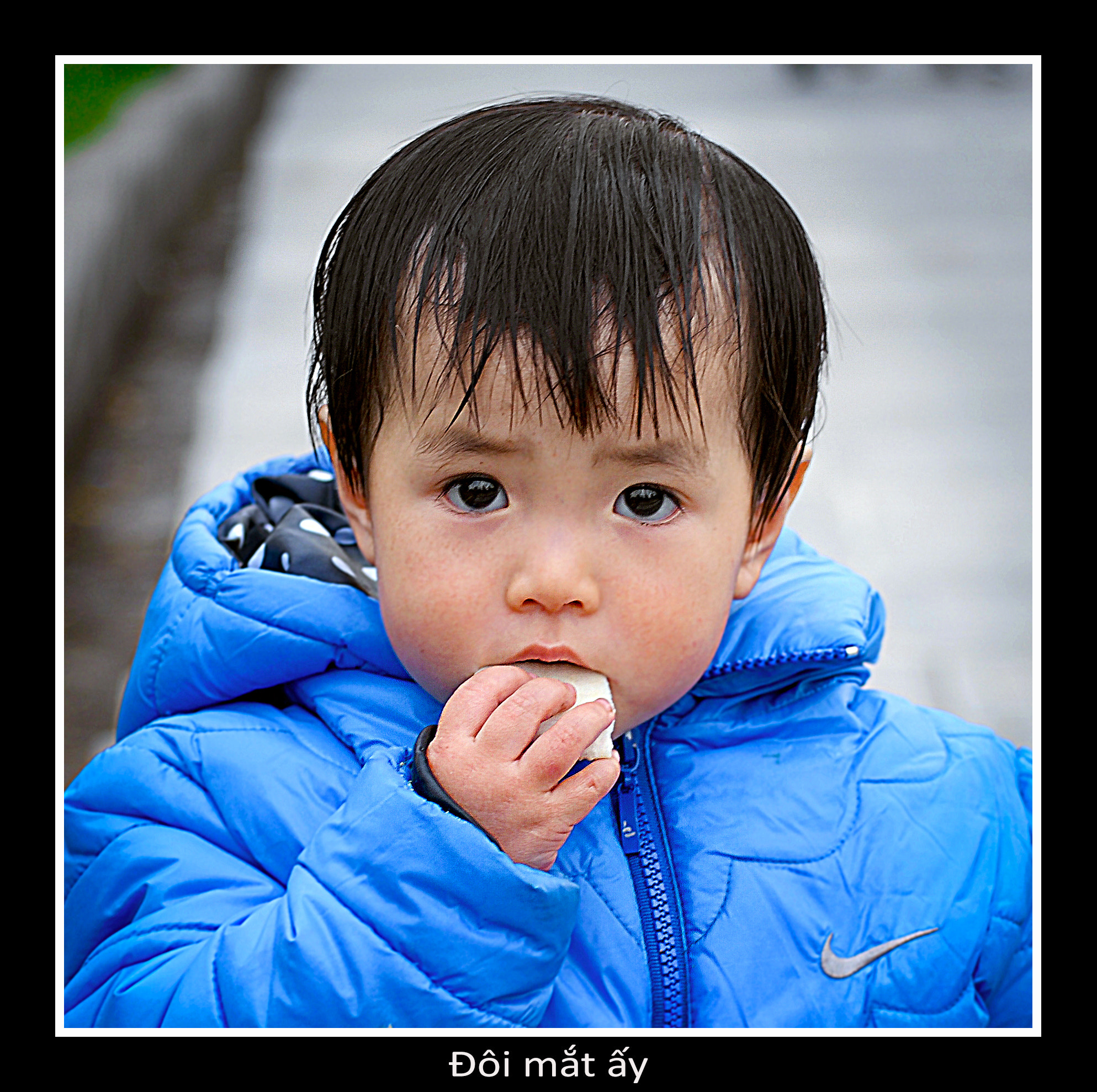 Nikon D200 sample photo. 24947900665.jpg photography