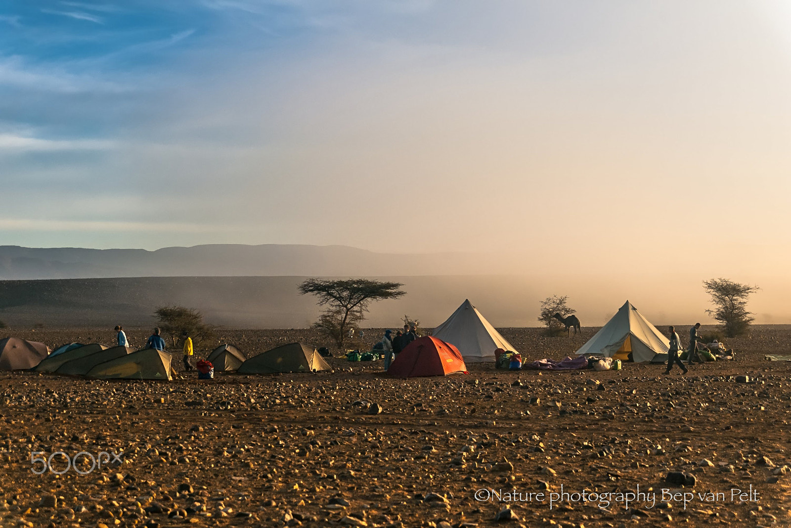 Pentax *ist DL + Sigma sample photo. Just wake up after night rain in moroccan stone desert photography