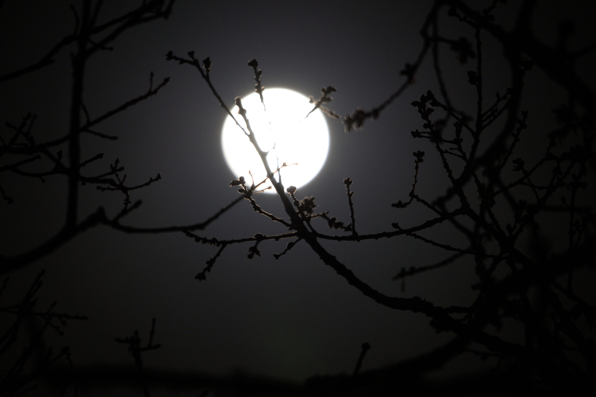 Sigma 120-400mm F4.5-5.6 DG OS HSM sample photo. Night photography