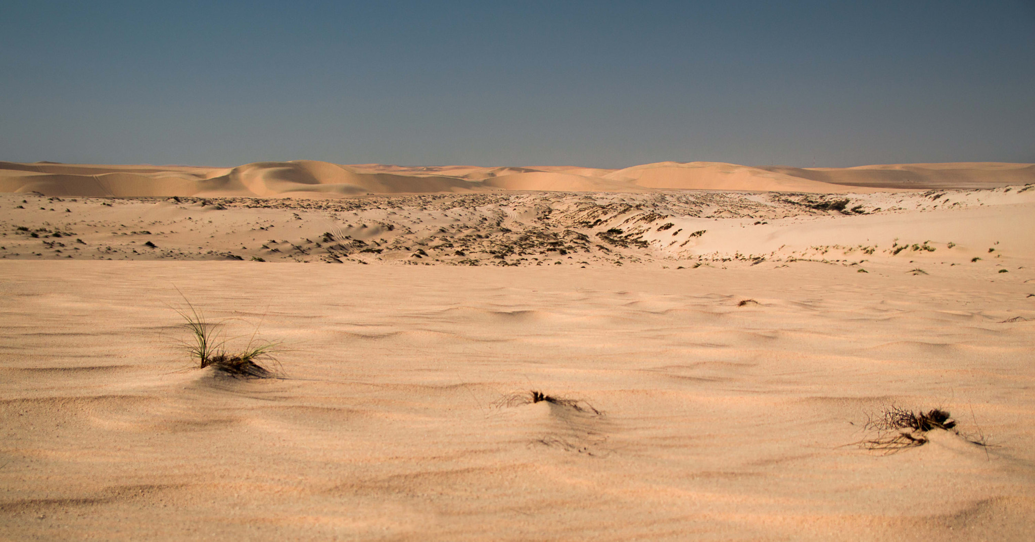 Sigma 17-70mm F2.8-4 DC Macro OS HSM sample photo. In the desert photography