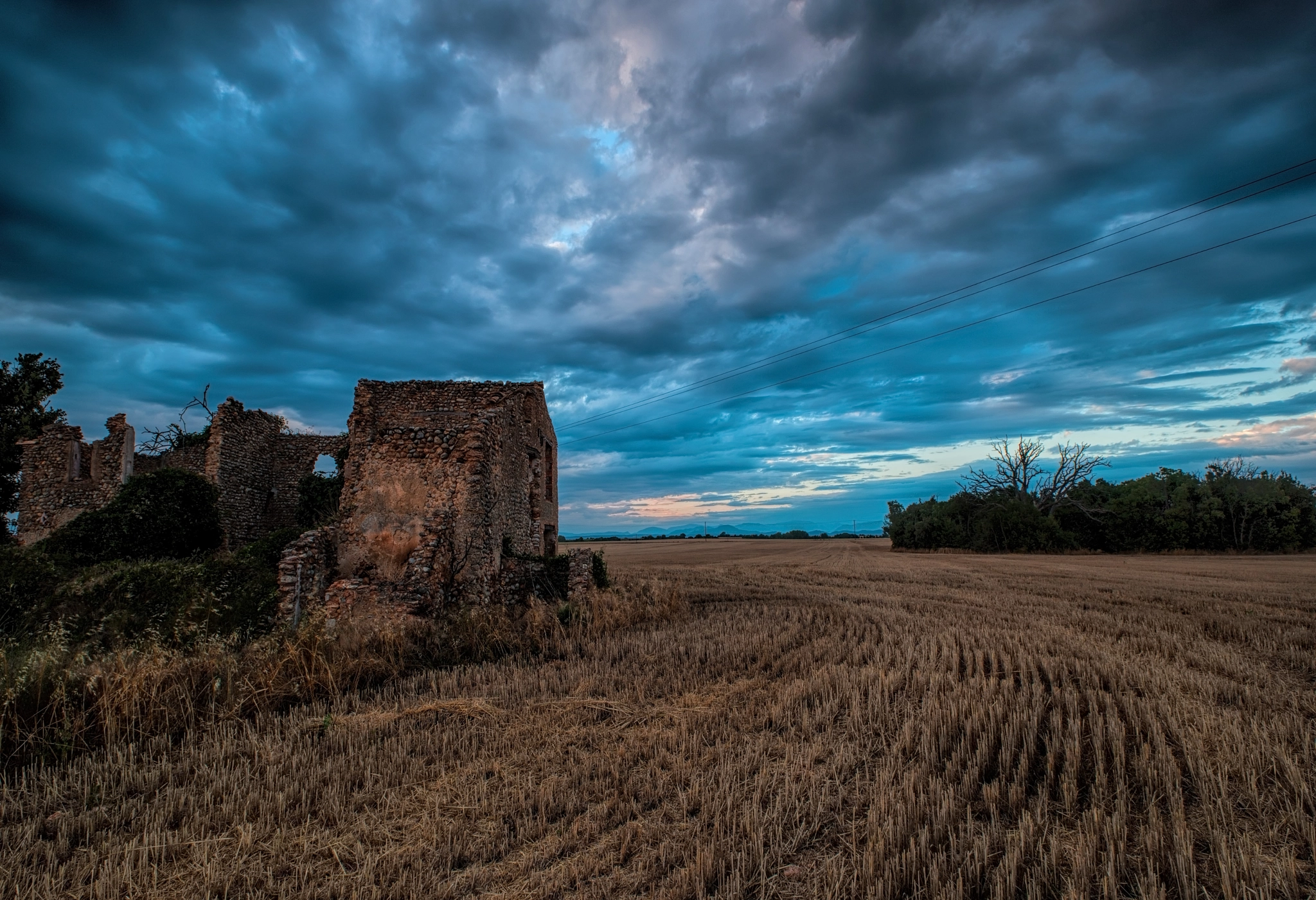 Canon EOS-1Ds Mark III sample photo. After the harvest photography