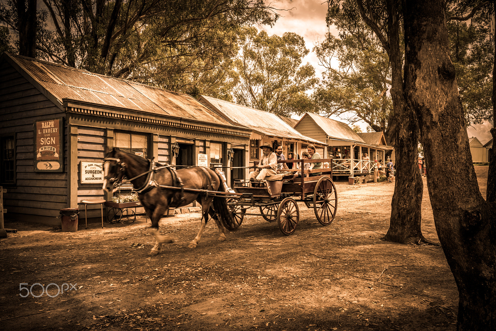 Nikon D800 + Nikon AF Nikkor 28mm F2.8D sample photo. Horse and buggy ride photography