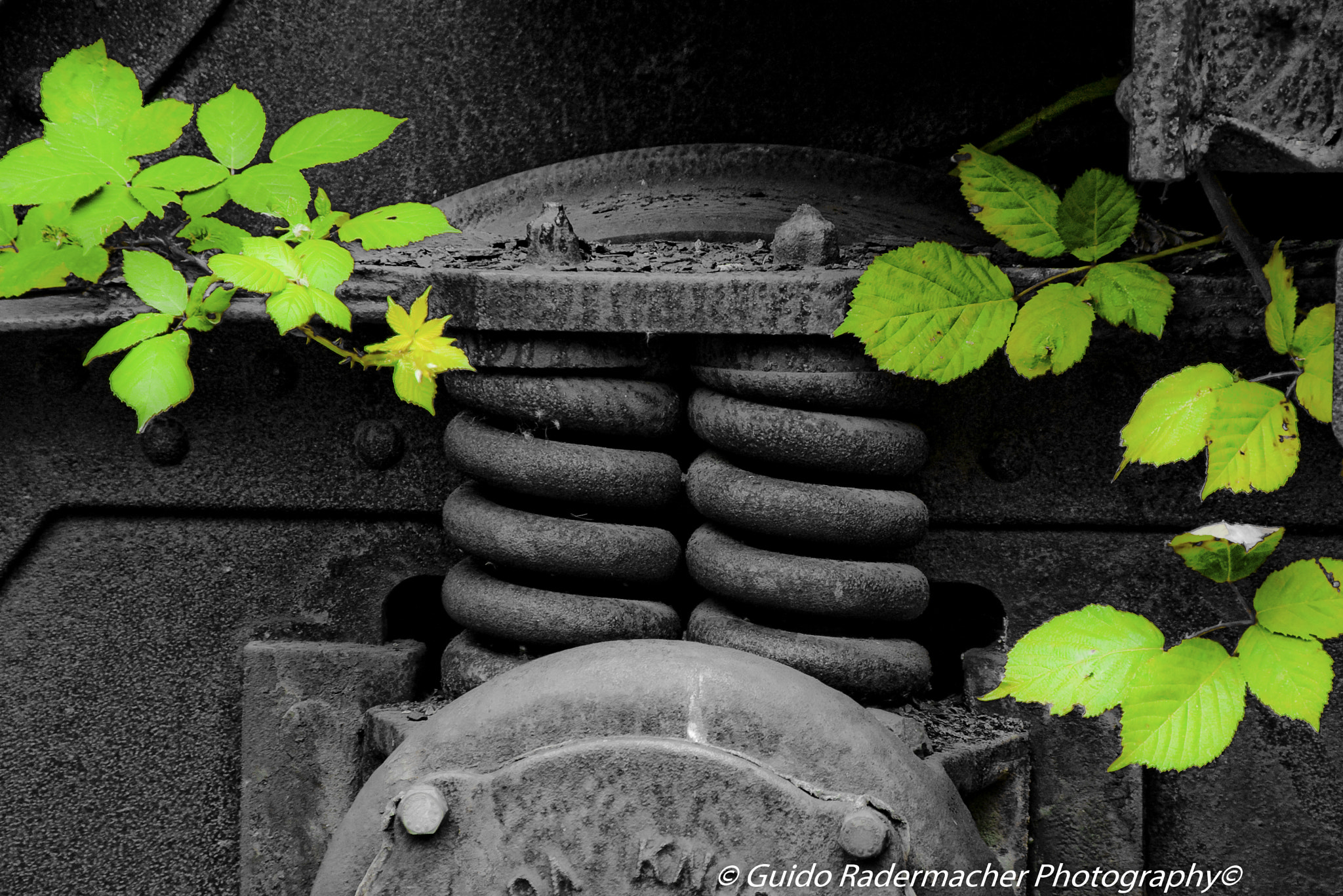 Tamron AF 28-300mm F3.5-6.3 XR Di LD Aspherical (IF) Macro sample photo. Stahl photography