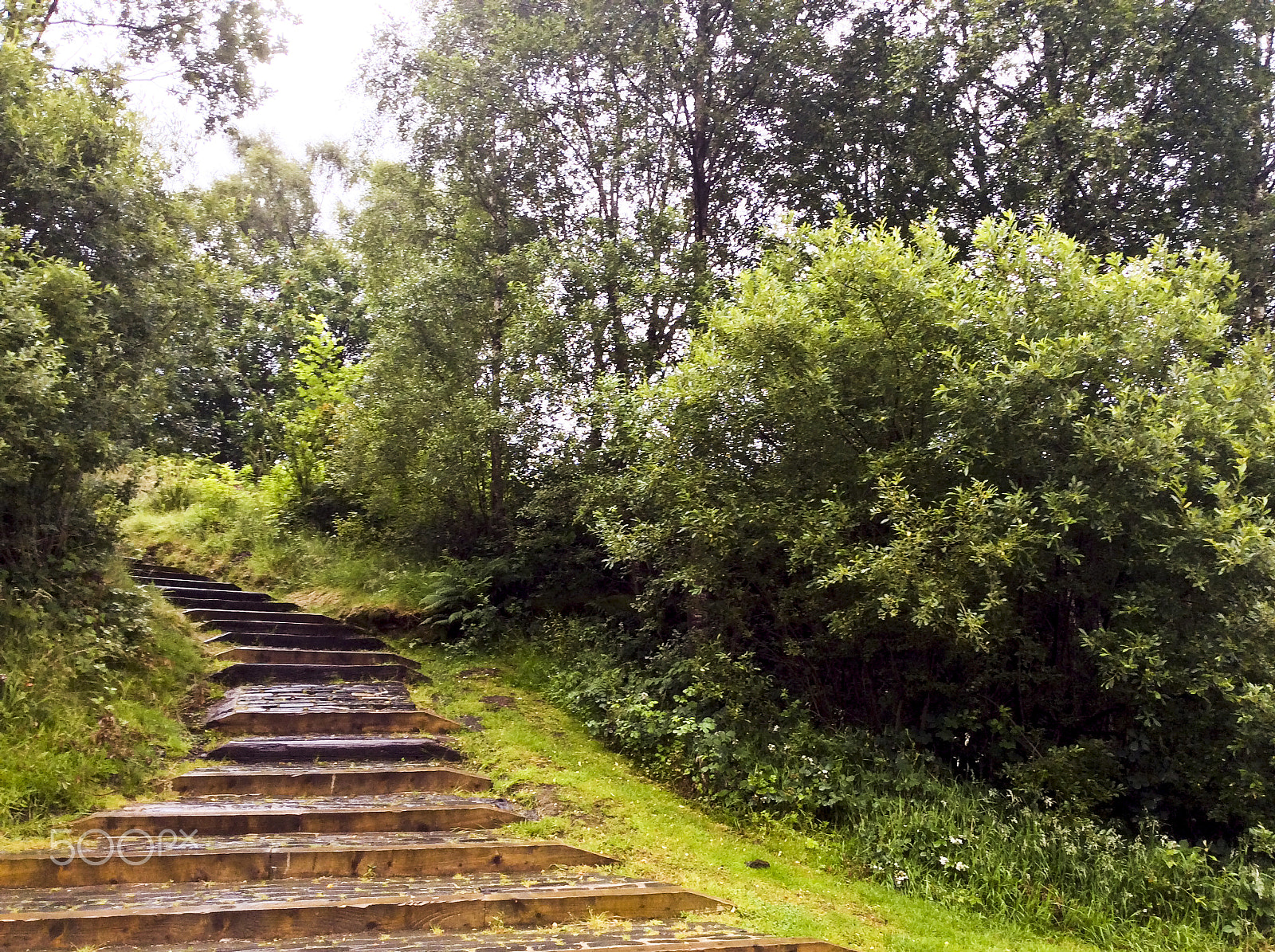 iPad mini back camera 3.3mm f/2.4 sample photo. Wooden stairs photography