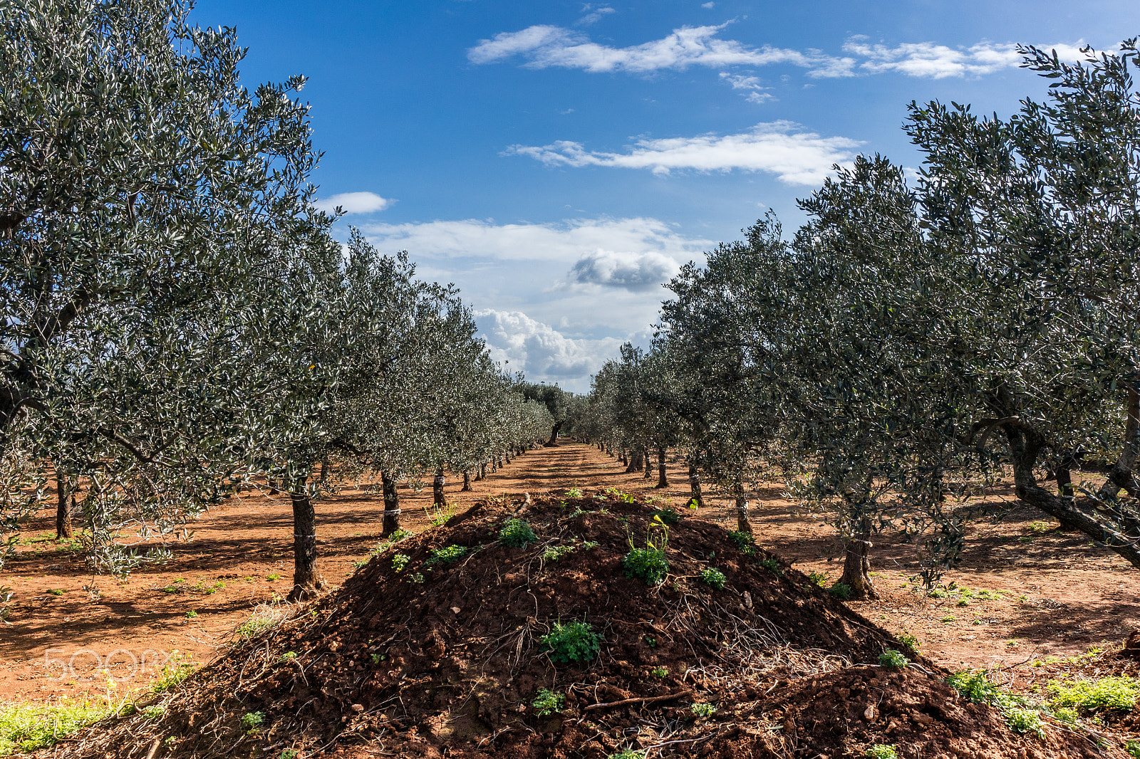 Sony a7R sample photo. Puglia photography