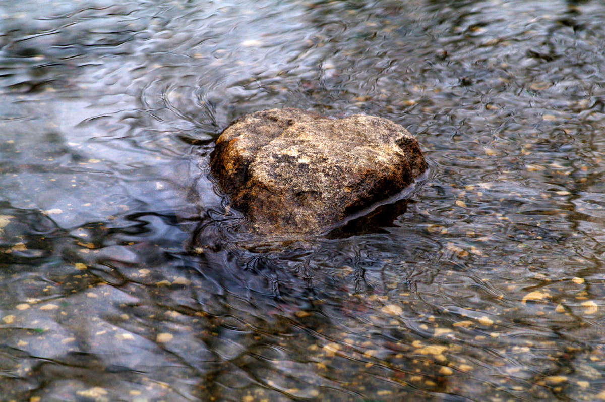 Pentax K-7 sample photo. Cold heart photography