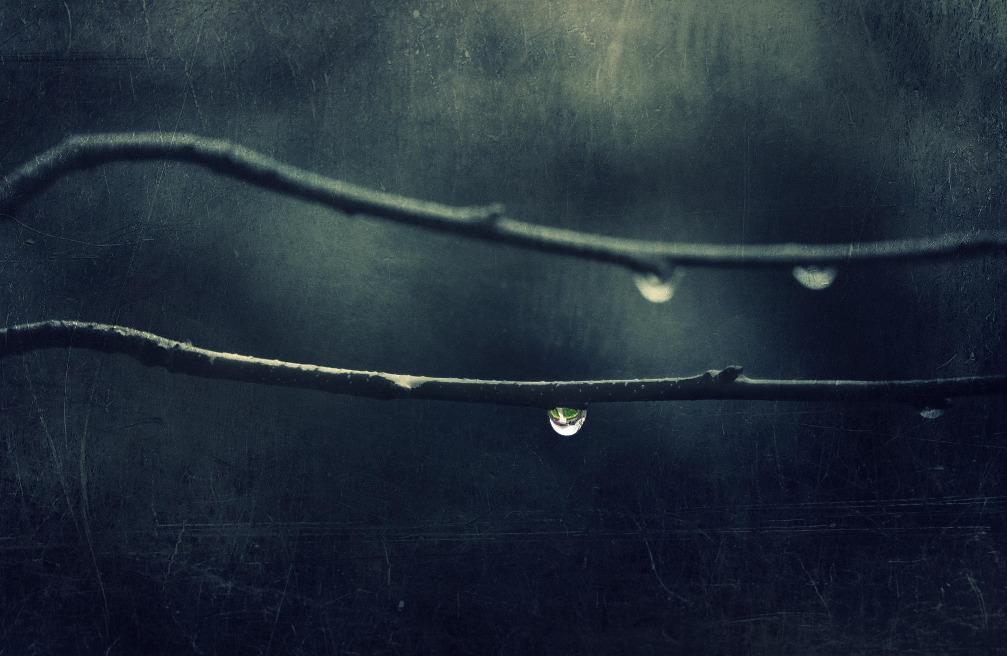 AF Nikkor 300mm f/4 IF-ED sample photo. ...and it's raining... photography