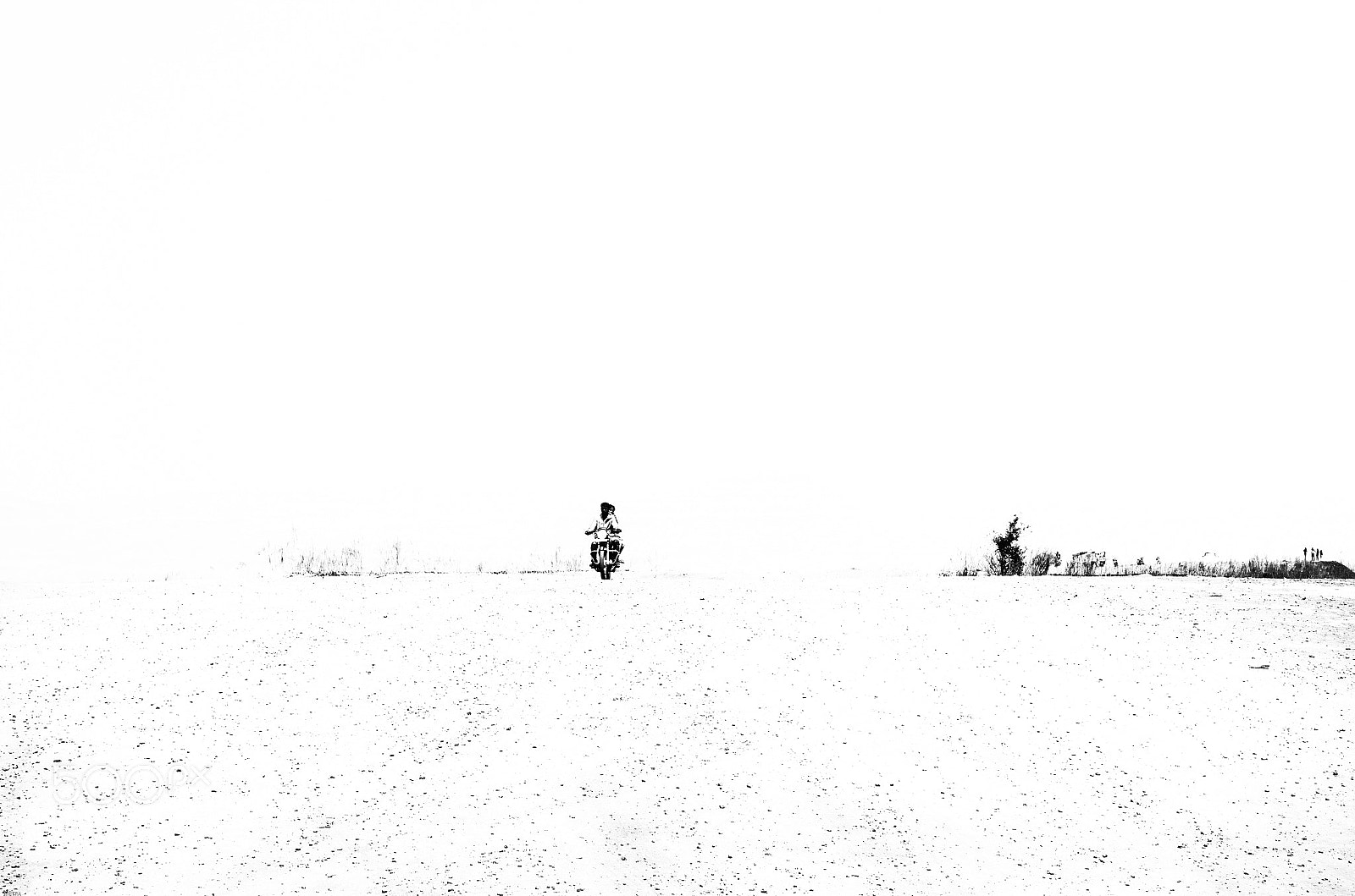 Pentax K-5 IIs sample photo. The rider photography