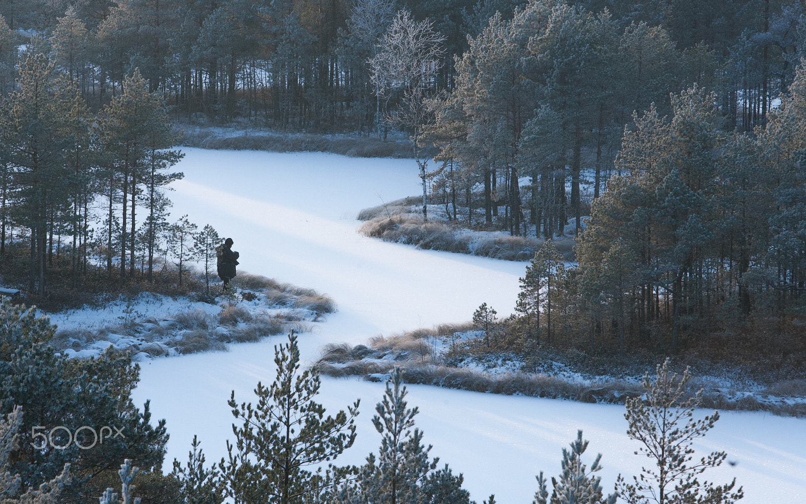 Canon EOS-1D Mark II N sample photo. The lonely ranger photography