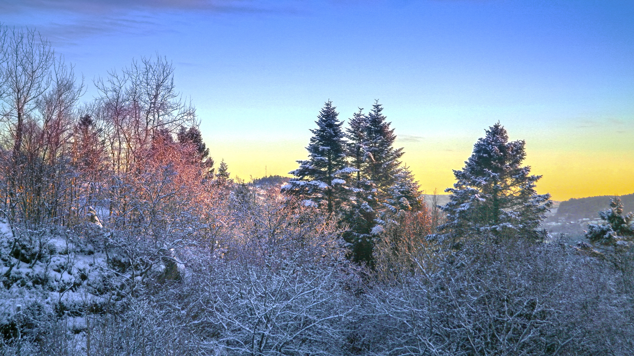 Samsung NX210 sample photo. My winter view photography