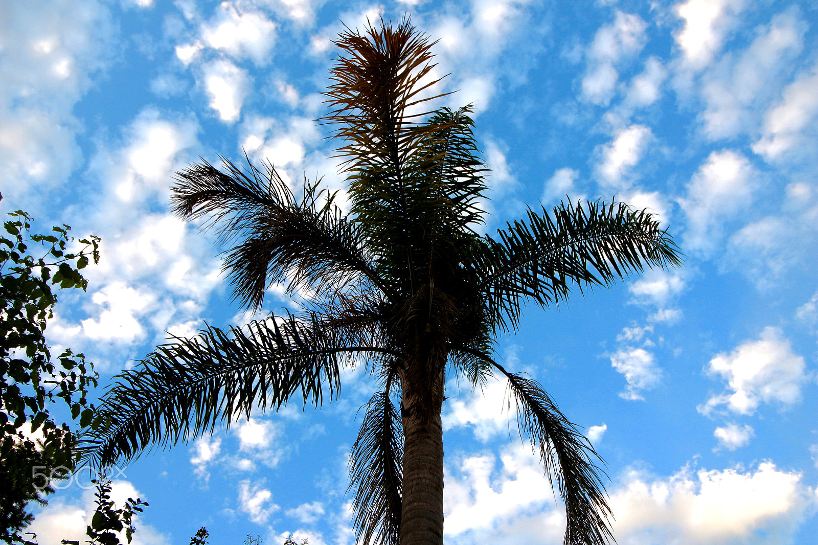 Canon EF-S 10-18mm F4.5–5.6 IS STM sample photo. Blue sky photography