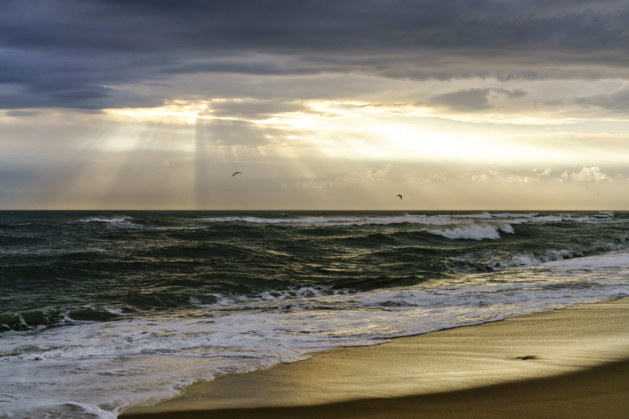 Sony a7R II + Canon EF 24-70mm F4L IS USM sample photo. Sunlight breaking on cape cod photography