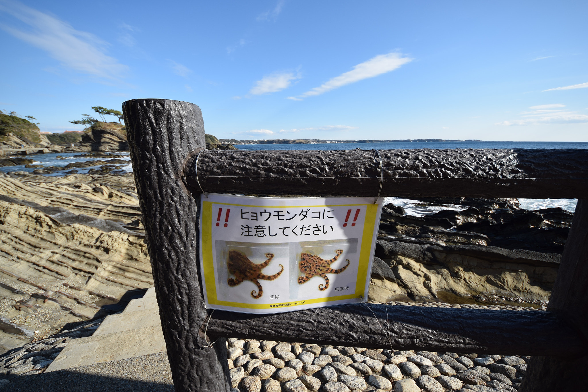 Sigma 8-16mm F4.5-5.6 DC HSM sample photo. Arasaki coast 20160221 photography