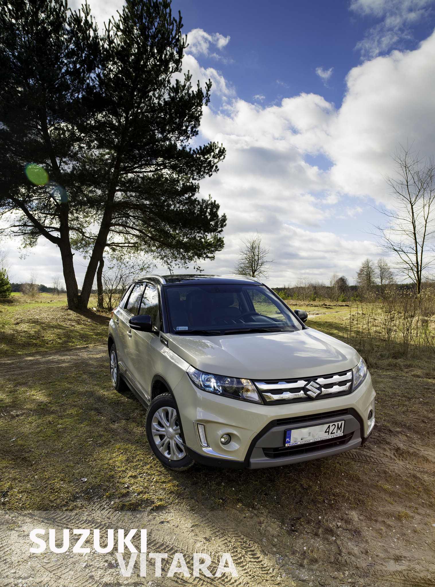 Nikon D600 sample photo. Suzuki vitara photography