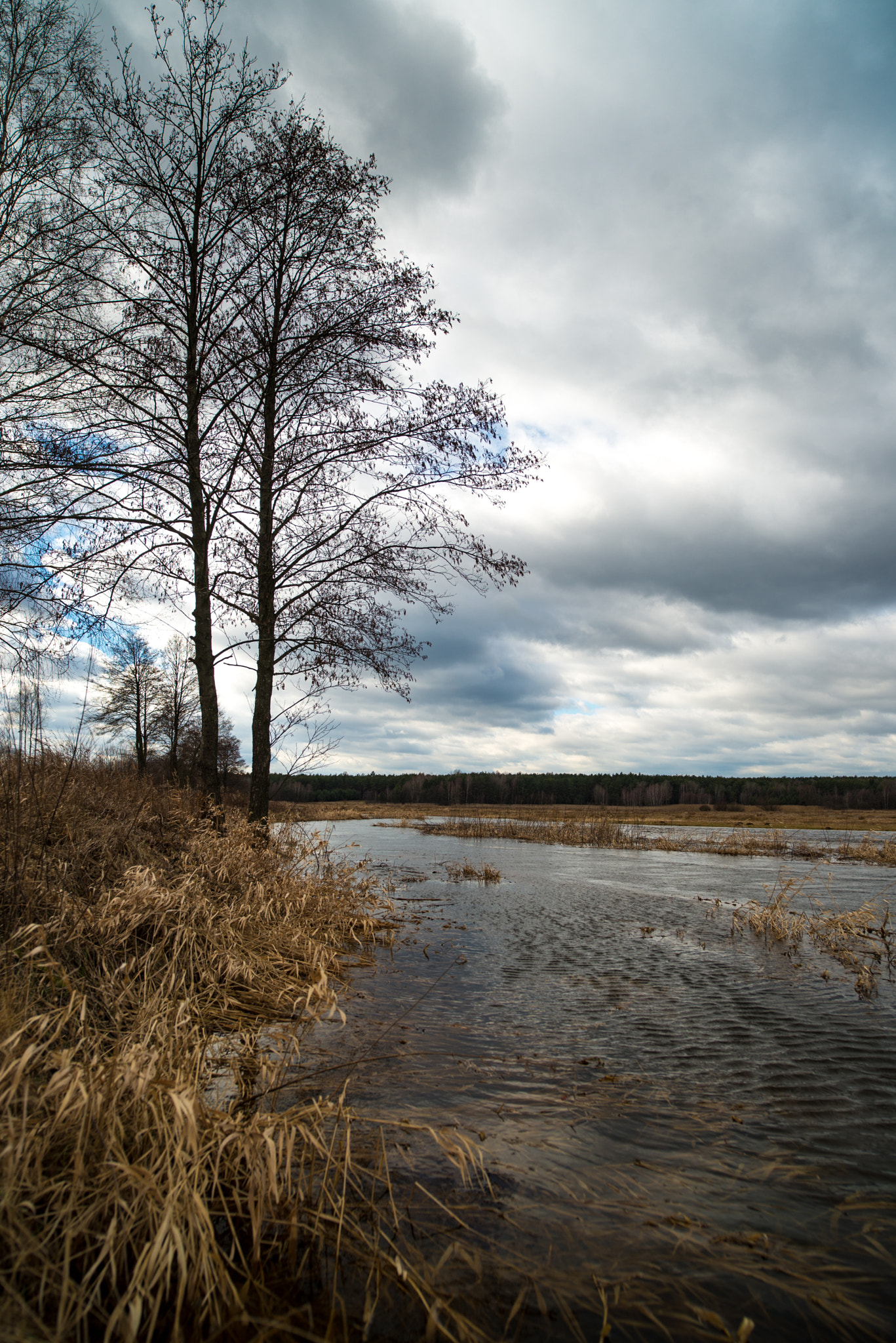 Nikon D600 sample photo. Waiting for the spring photography