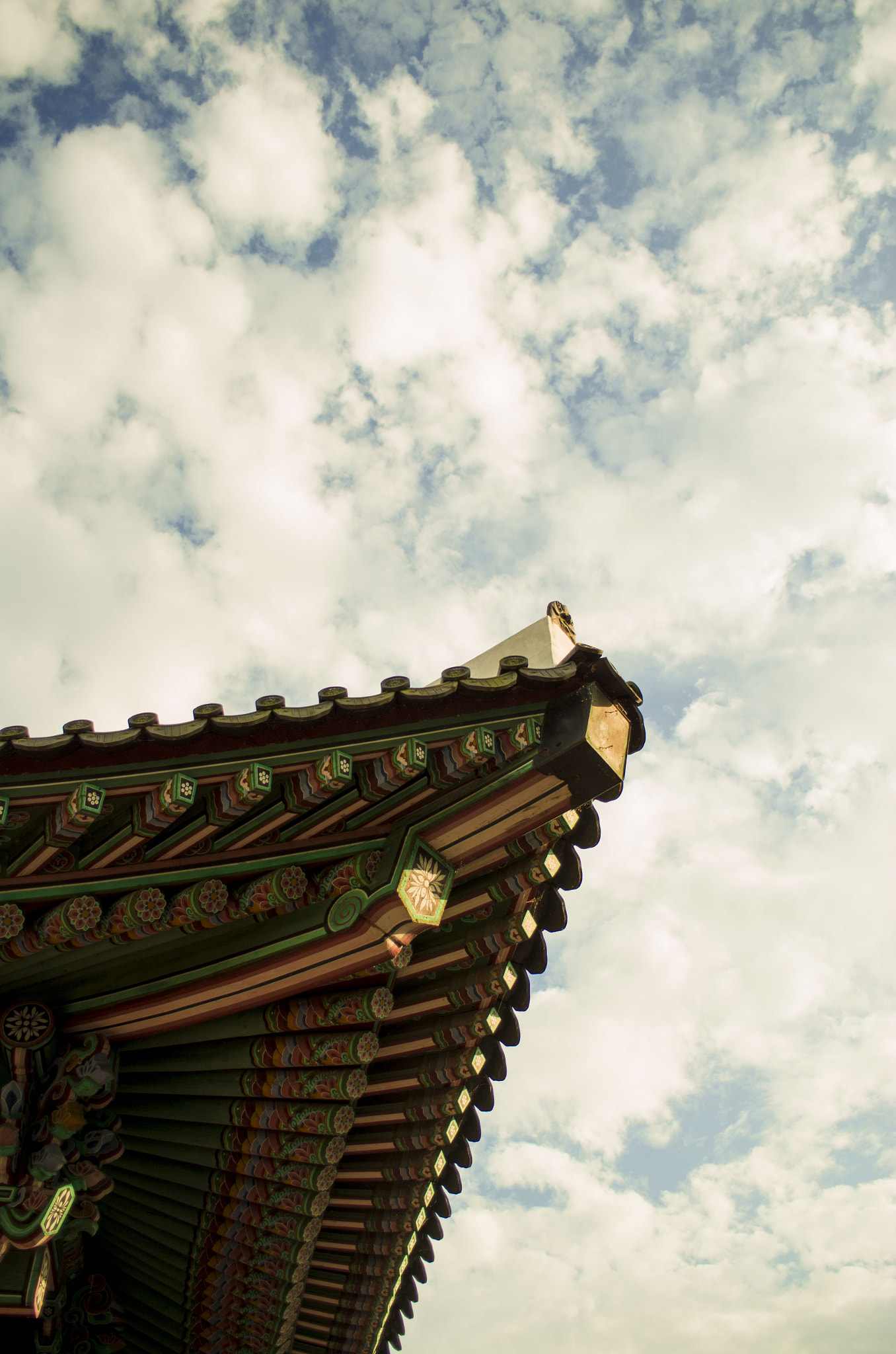 Pentax smc DA 21mm F3.2 AL Limited sample photo. Does the roof dream of sky scrapper? photography