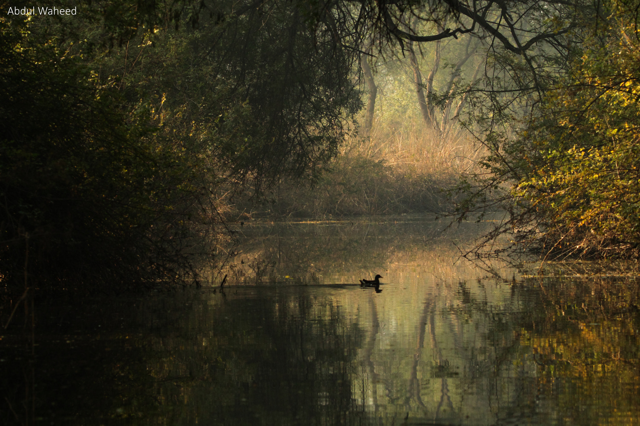Tamron SP 150-600mm F5-6.3 Di VC USD sample photo. View the best of keoladeo national park on a boat photography