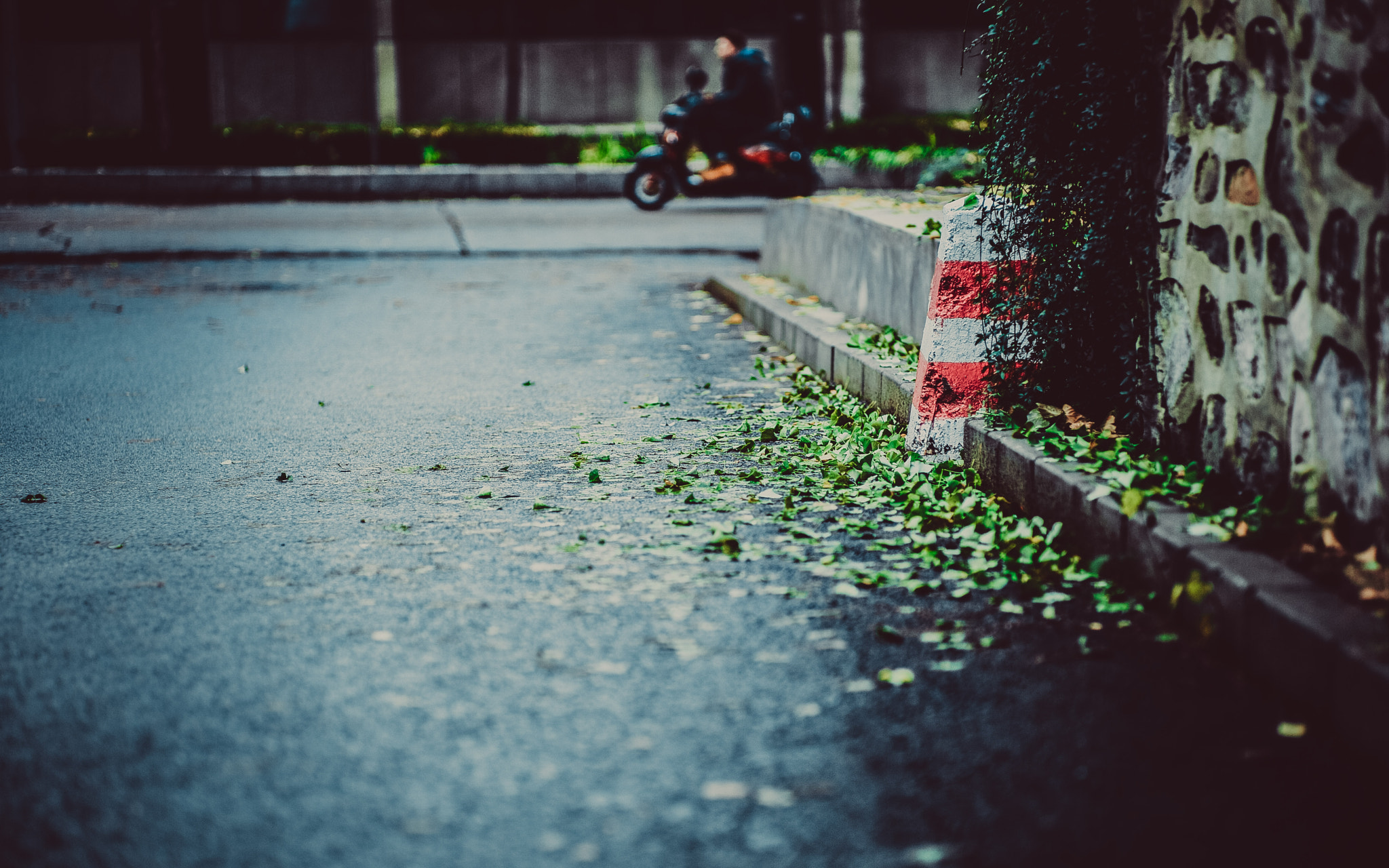Summicron-M 1:2/90 Leitz sample photo. Untitled photography
