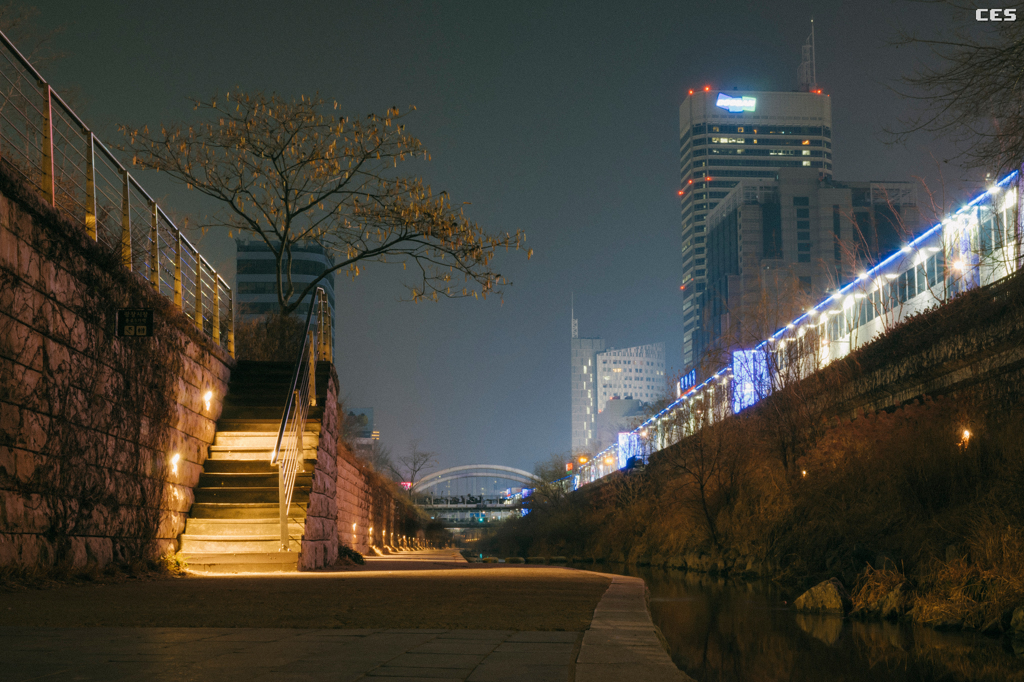 Fujifilm X-A2 + Fujifilm XF 18-55mm F2.8-4 R LM OIS sample photo. Tree stands photography