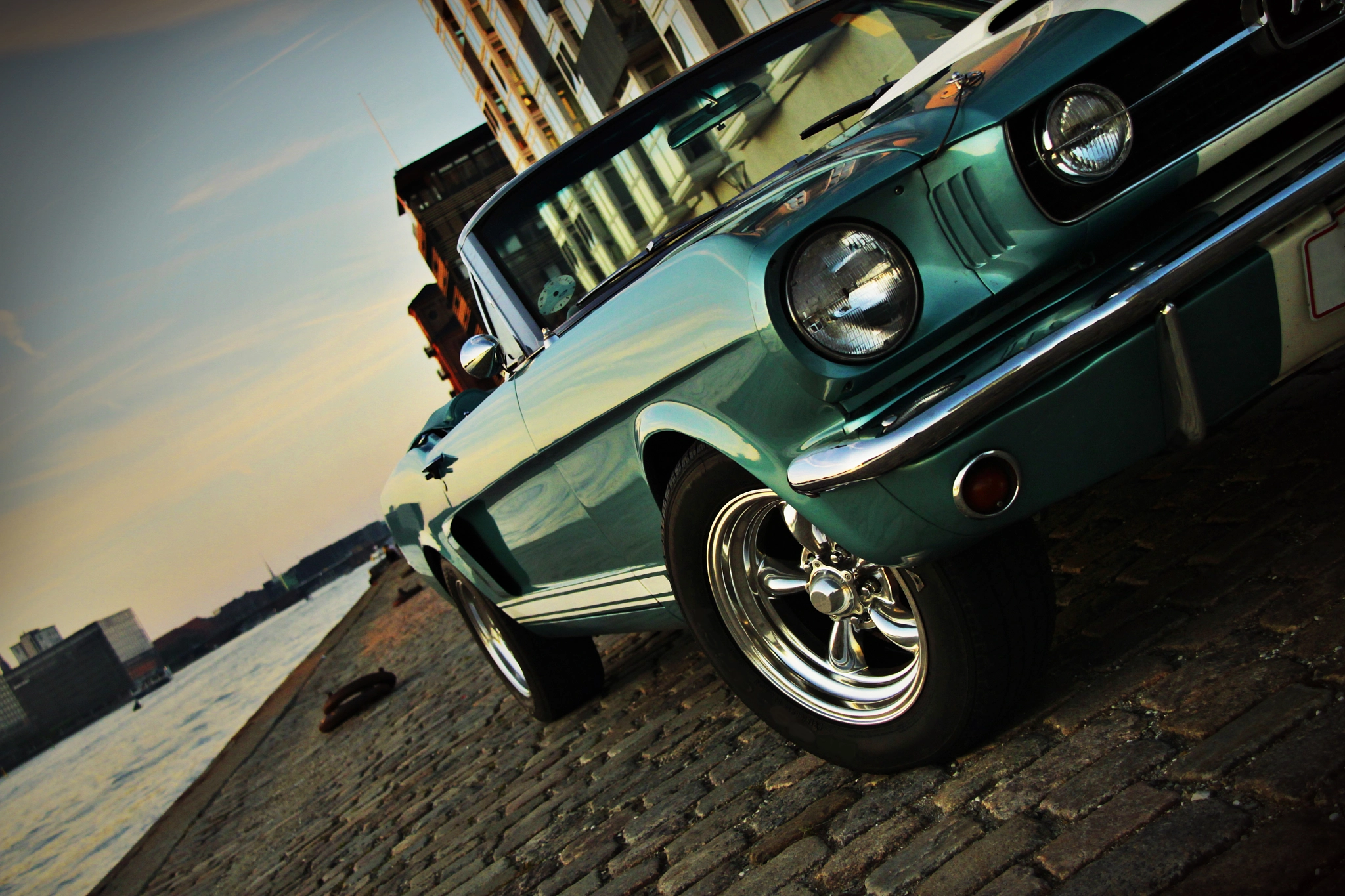Mustang cruising