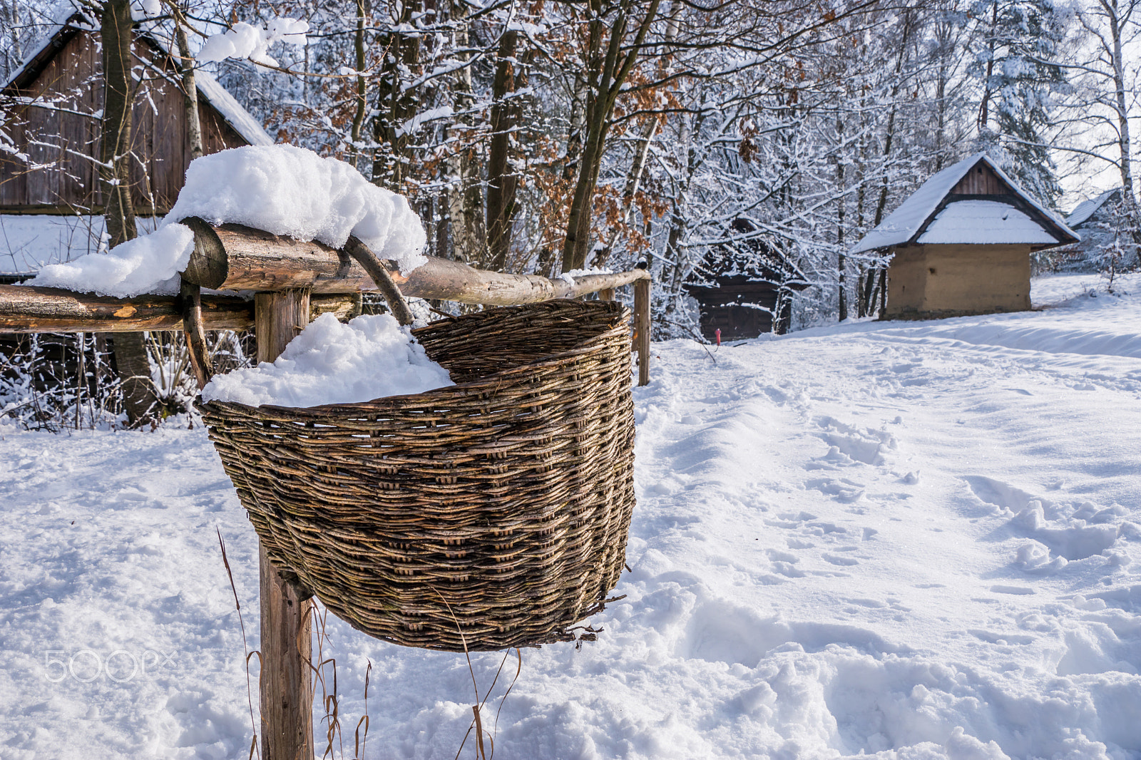 Sony DT 18-250mm F3.5-6.3 sample photo. Seagrass basket in snow photography