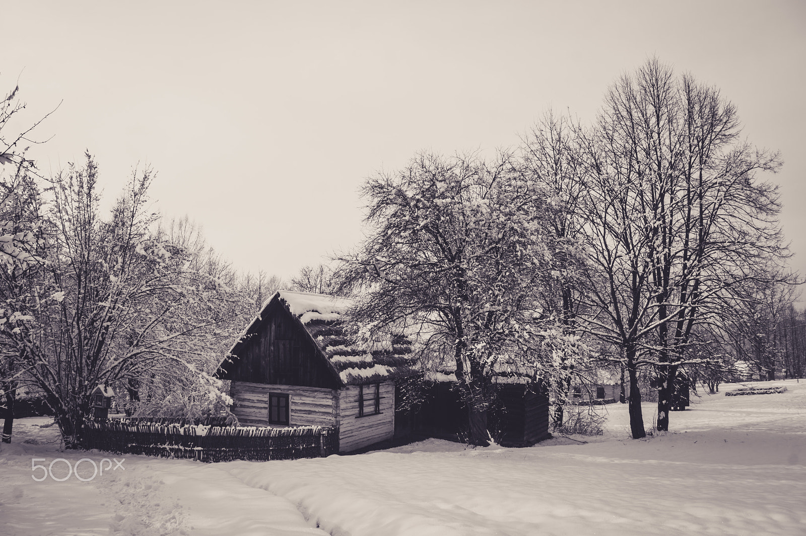Sony DT 18-250mm F3.5-6.3 sample photo. "old winter" photography