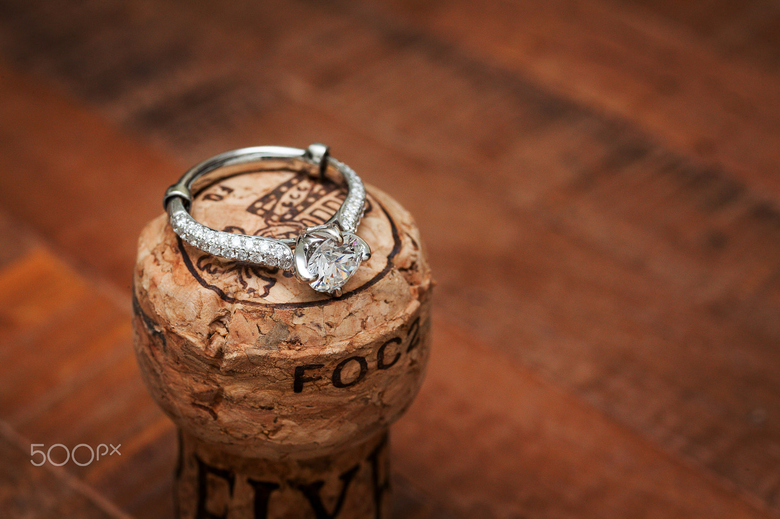 Sigma 70mm F2.8 EX DG Macro sample photo. Uncorked photography