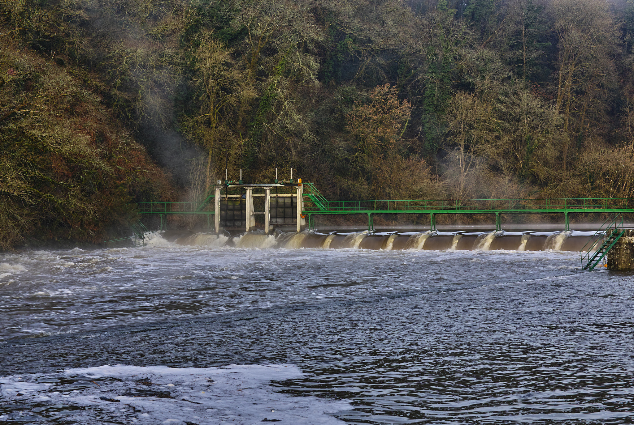 Sigma SD1 Merrill sample photo. Morning on the blavet 02 photography