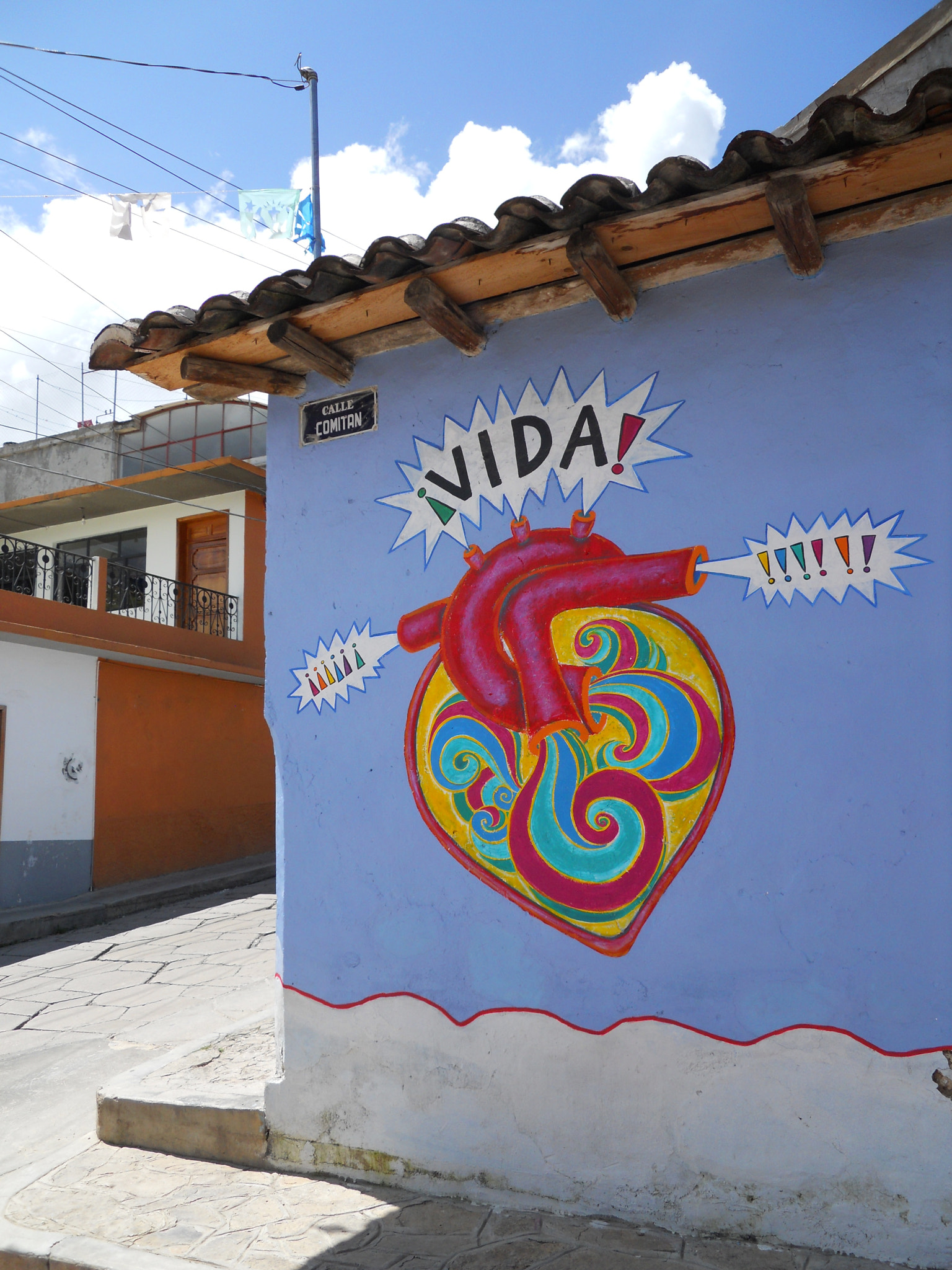 Nikon Coolpix S570 sample photo. ¡¡¡vida!!! photography