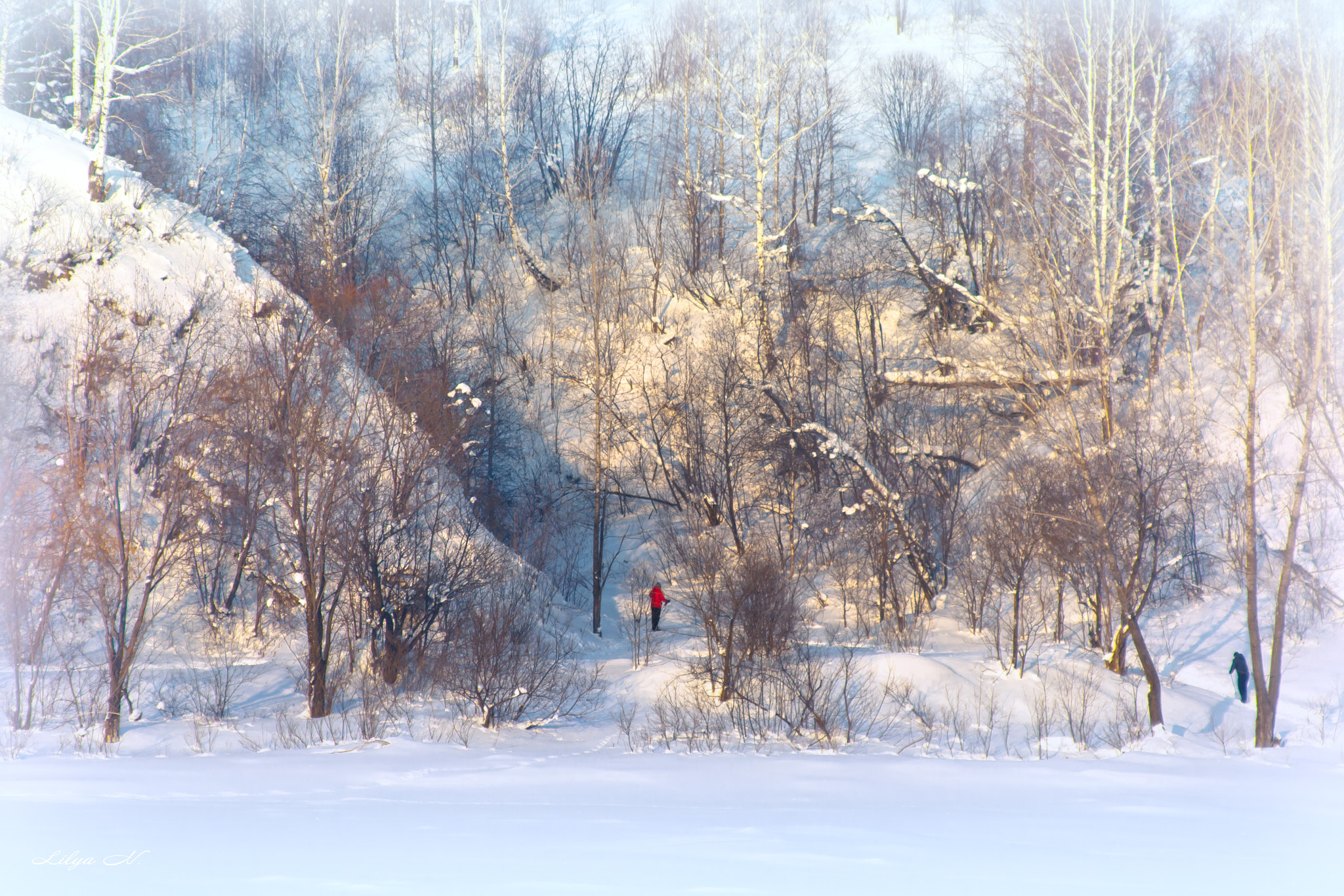 Canon EF 28-135mm F3.5-5.6 IS USM sample photo. . photography