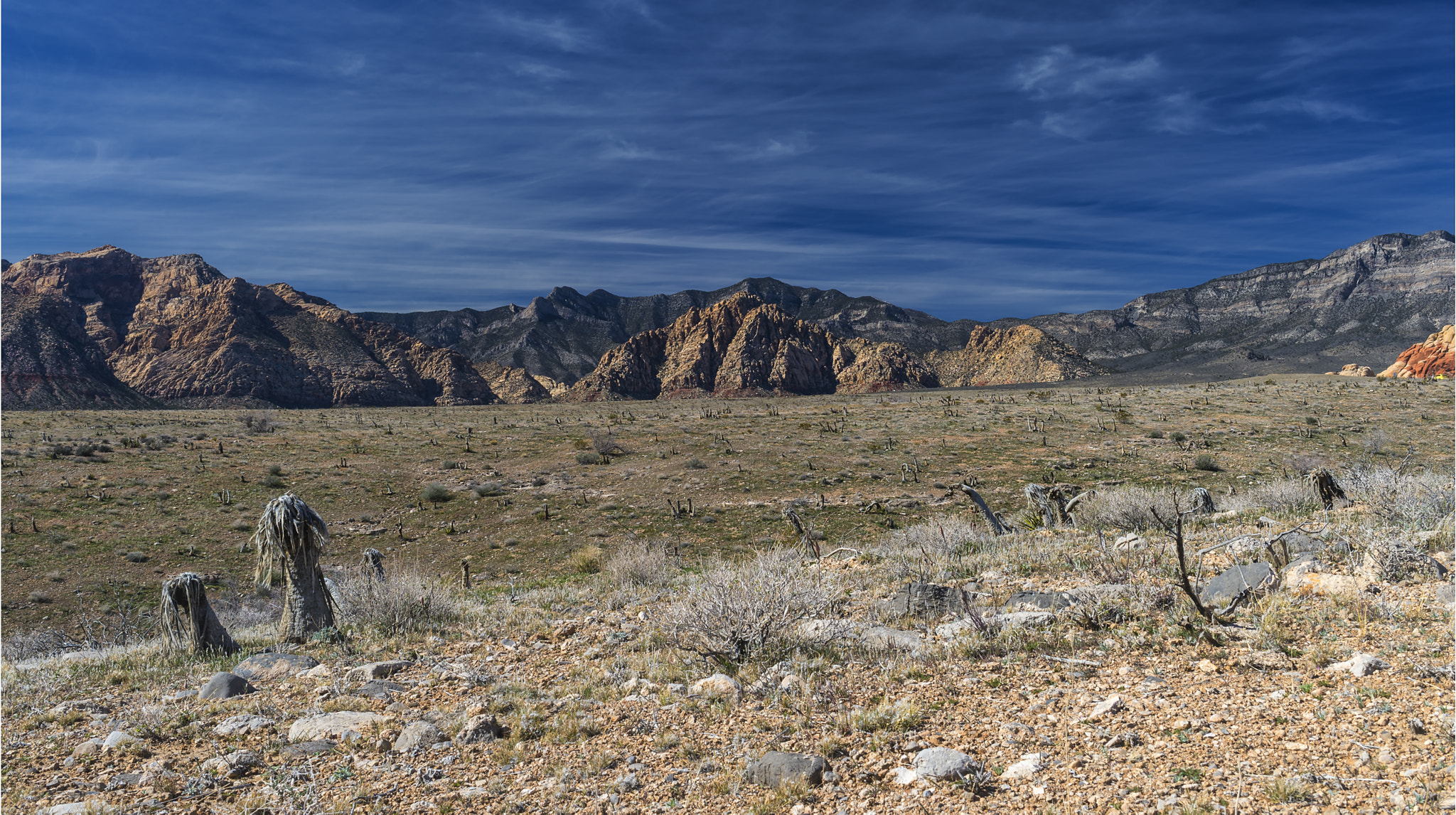 Nikon Df + AF-S Nikkor 35mm f/1.8G sample photo. Red rock valley photography