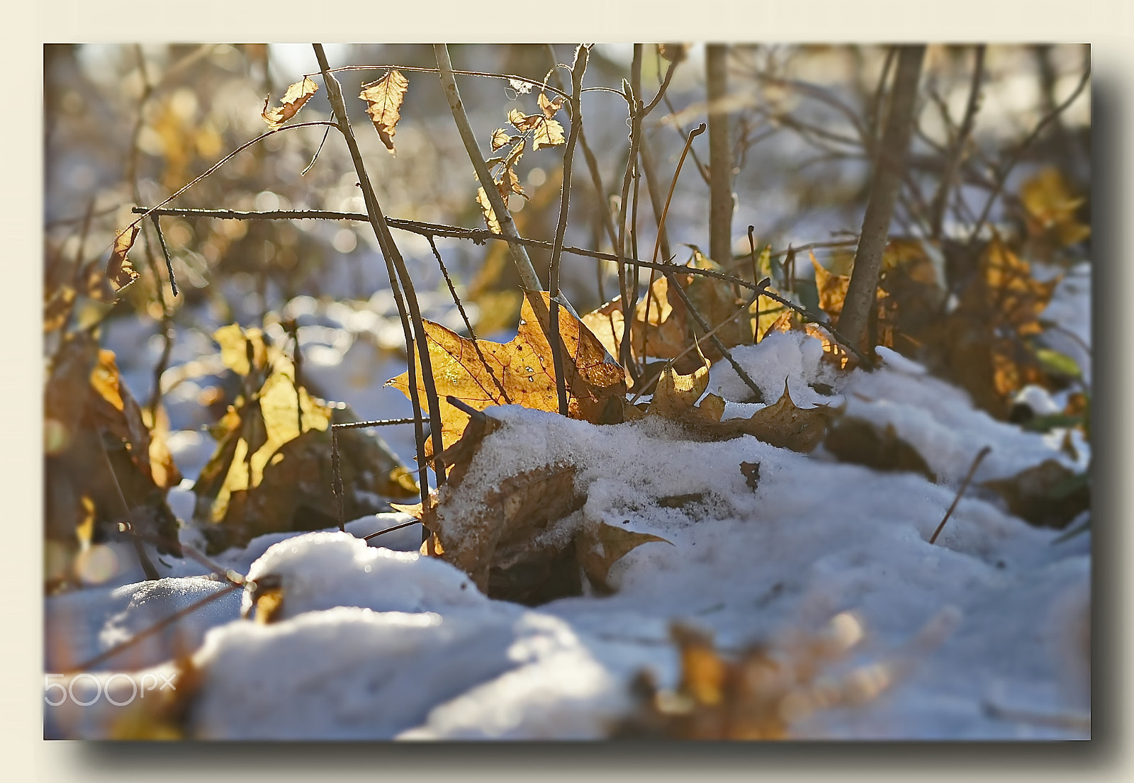 Sony DT 55-200mm F4-5.6 SAM sample photo. Нет возраста у тех, кто счастлив... photography