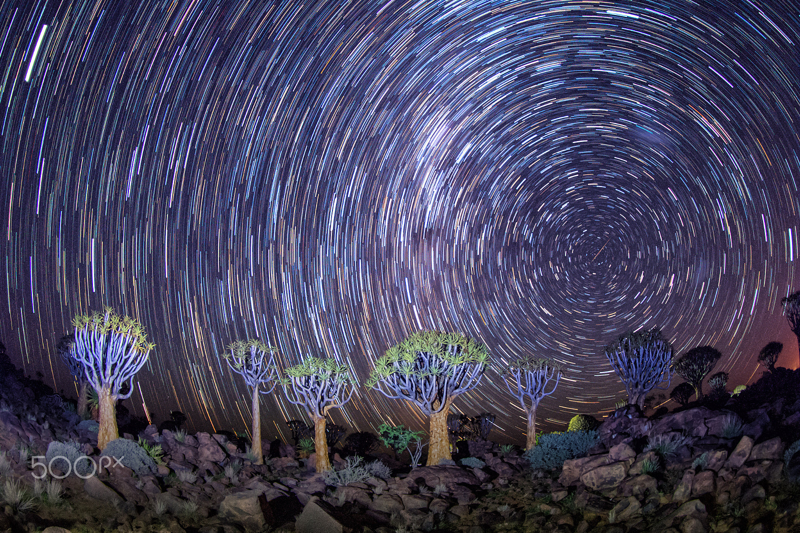 Canon EF 8-15mm F4L Fisheye USM sample photo. Shooting star on south, night and stars photography
