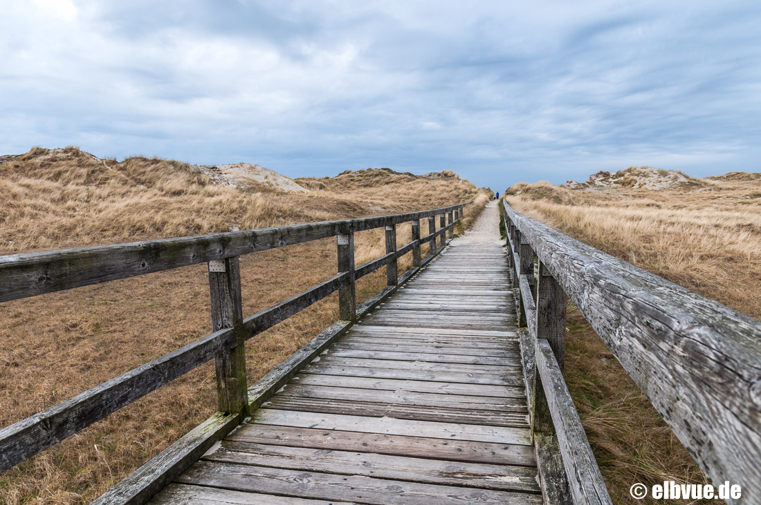 Sigma 17-70mm F2.8-4 DC Macro OS HSM | C sample photo. Northseacoast photography