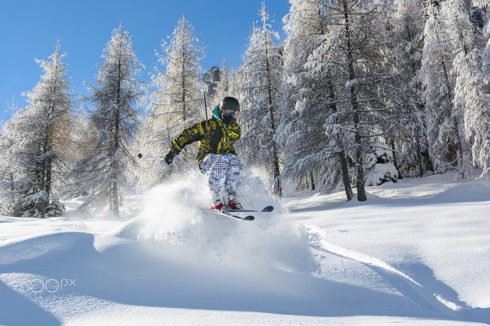Sigma 17-70mm F2.8-4 DC Macro OS HSM | C sample photo. White explosion photography